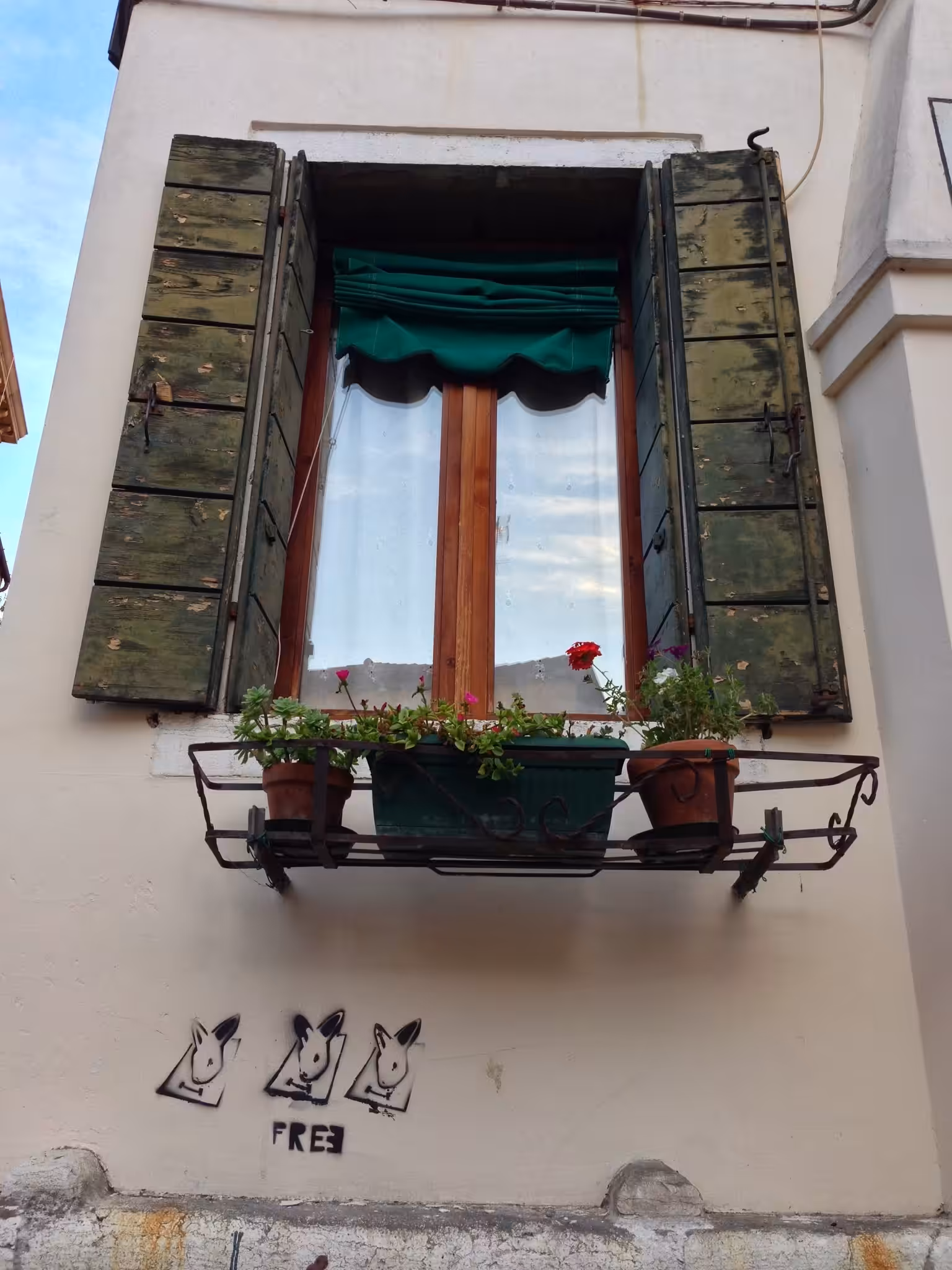 WINDOW 01
