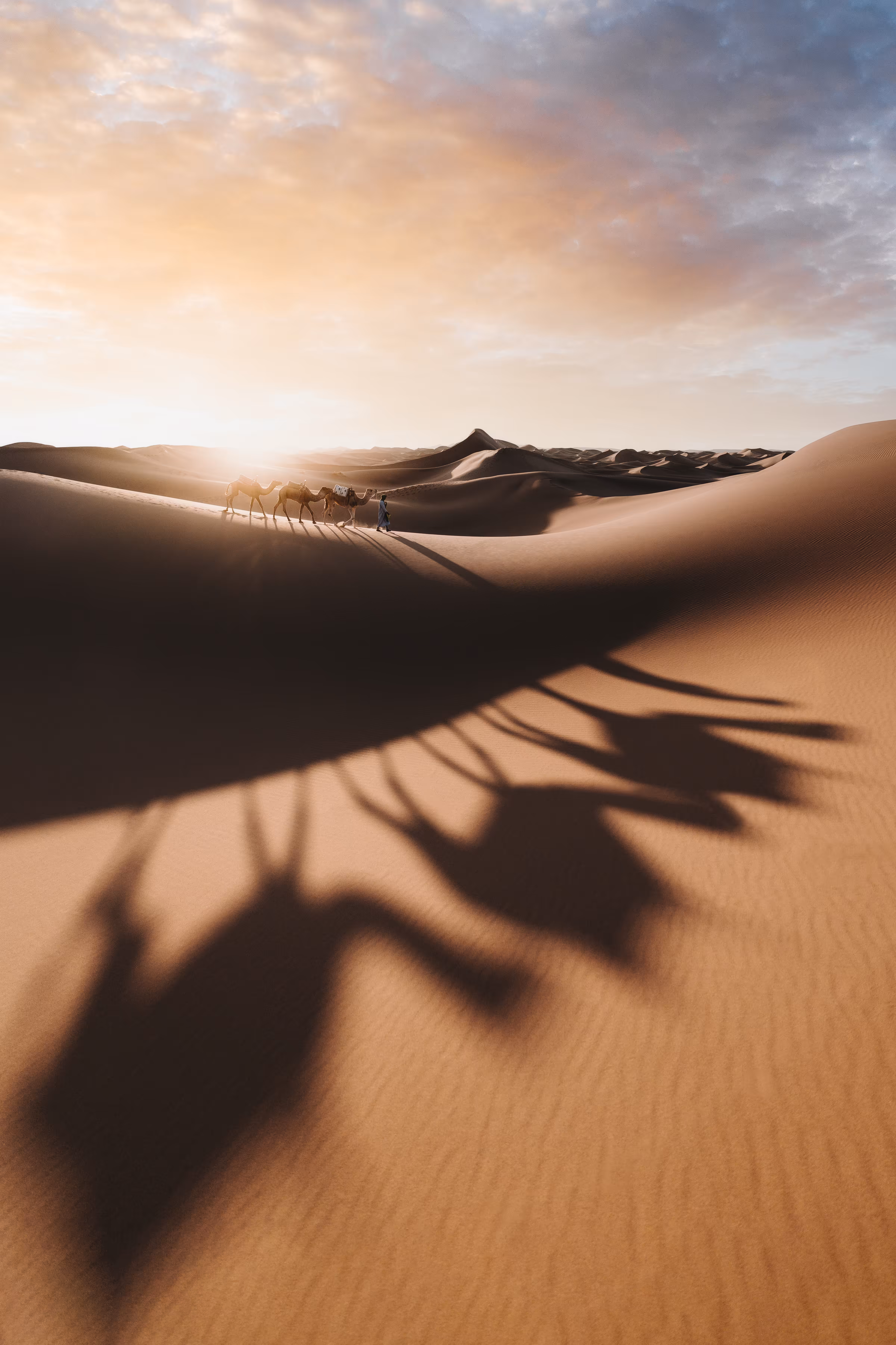 NOMAD