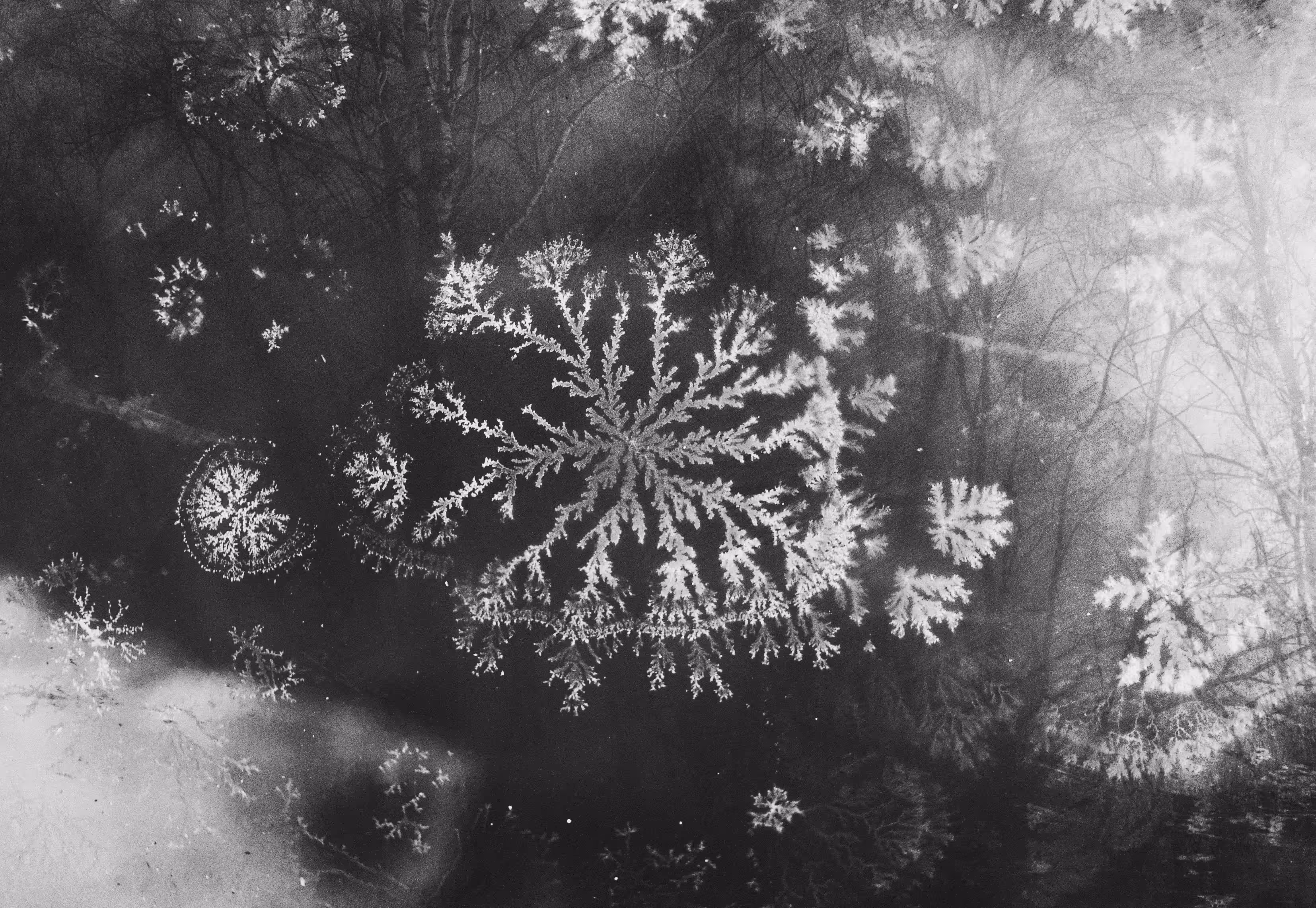 Patterns of light