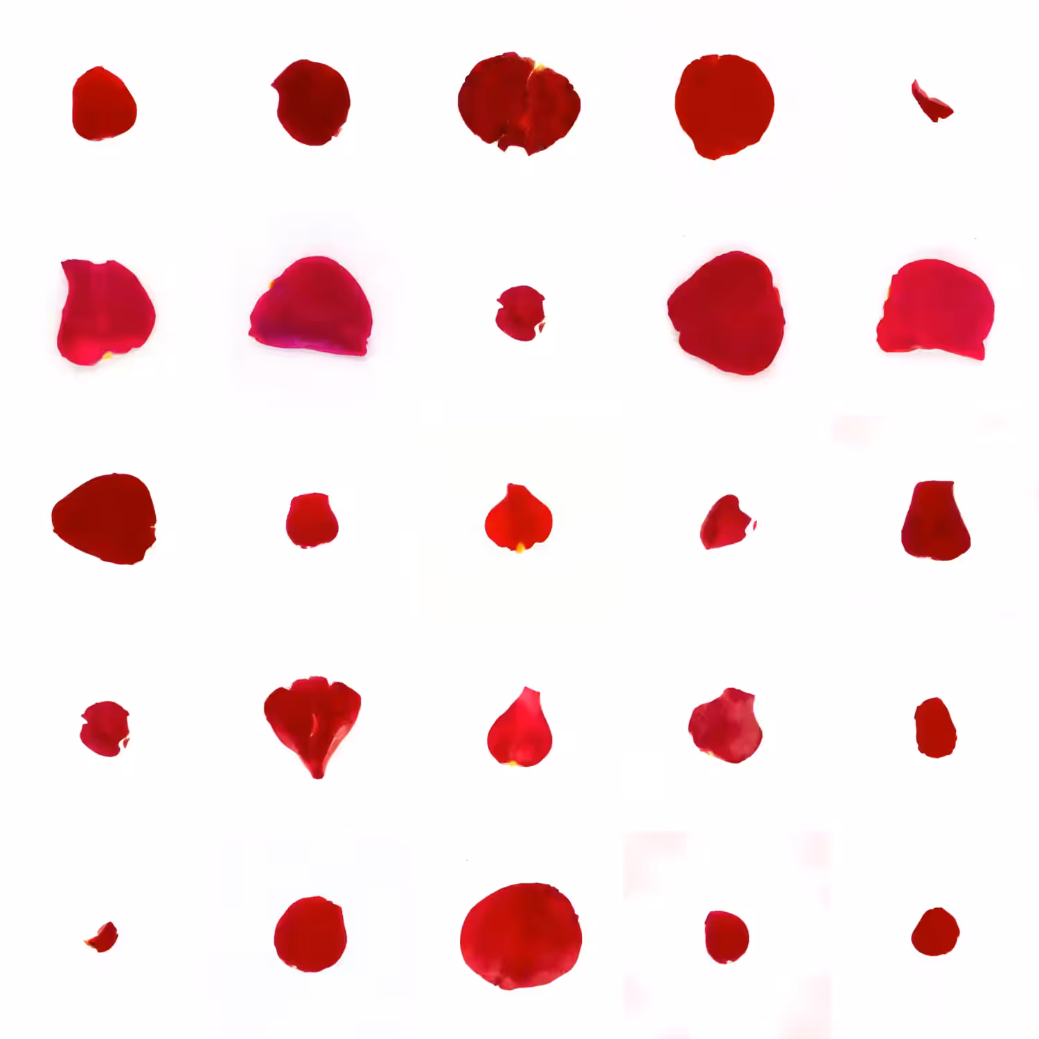 Infinite Petals 5x5#4225
