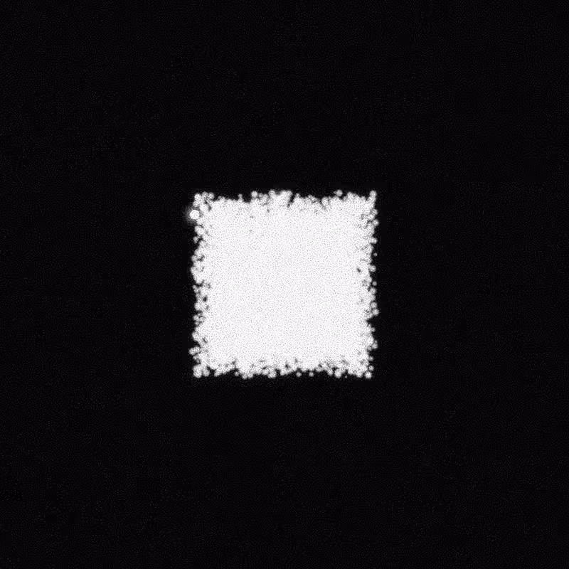 Winter #9