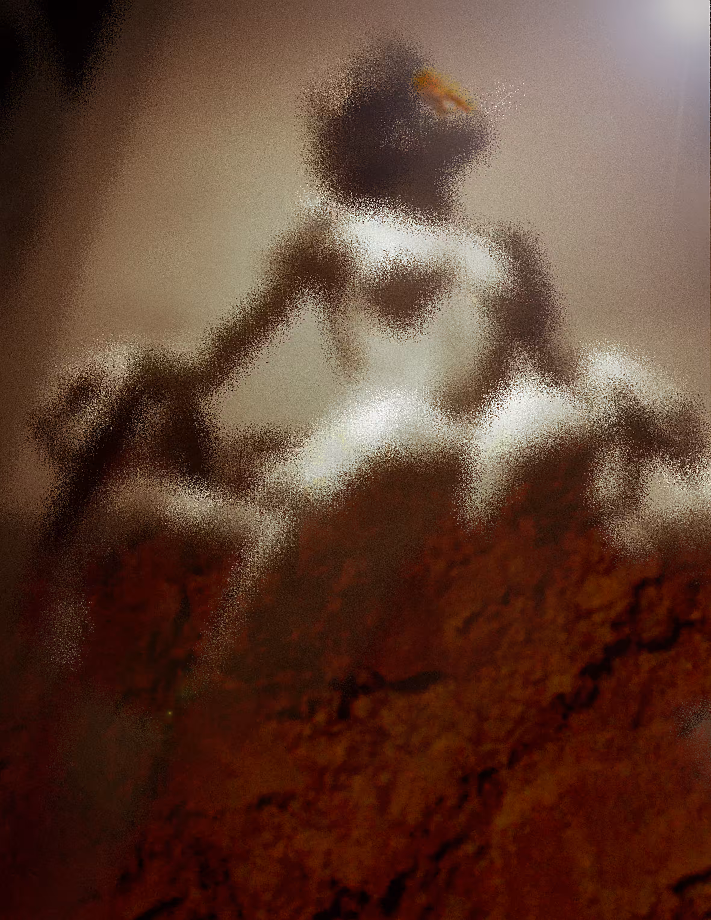 Elizabedsh