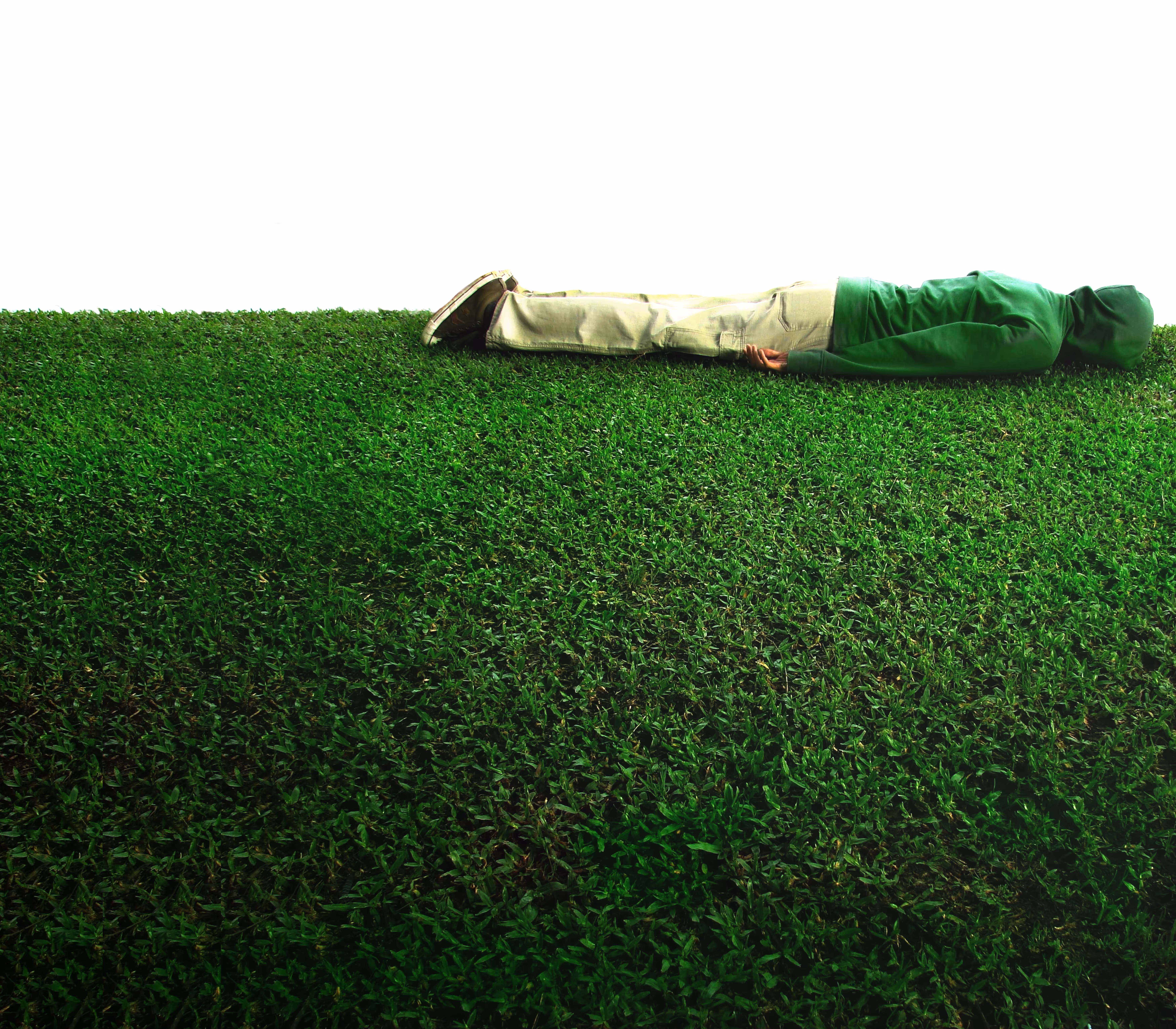 Untitled 14 | From Mimicry Series