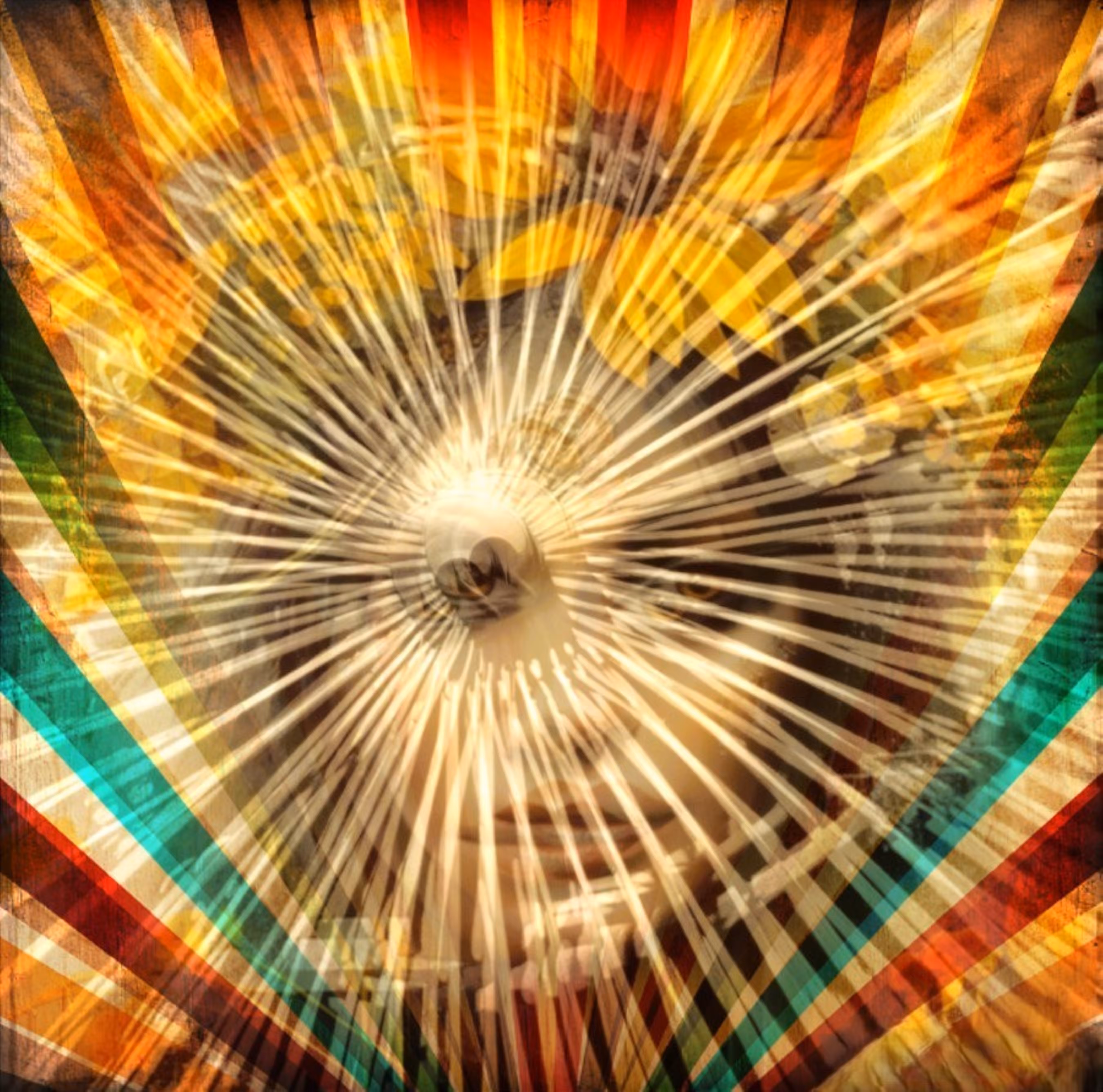A Distorted View