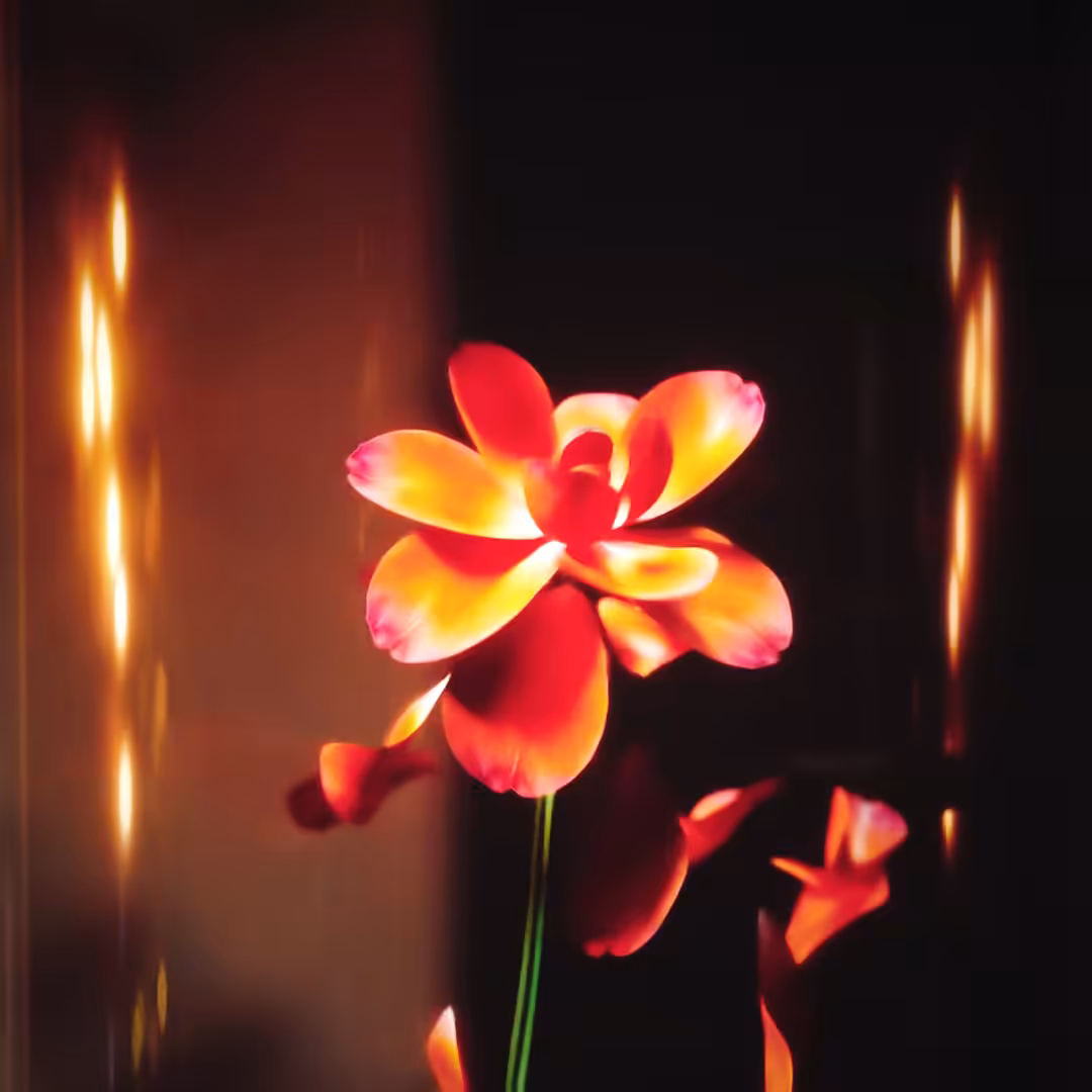 BLOSSOM