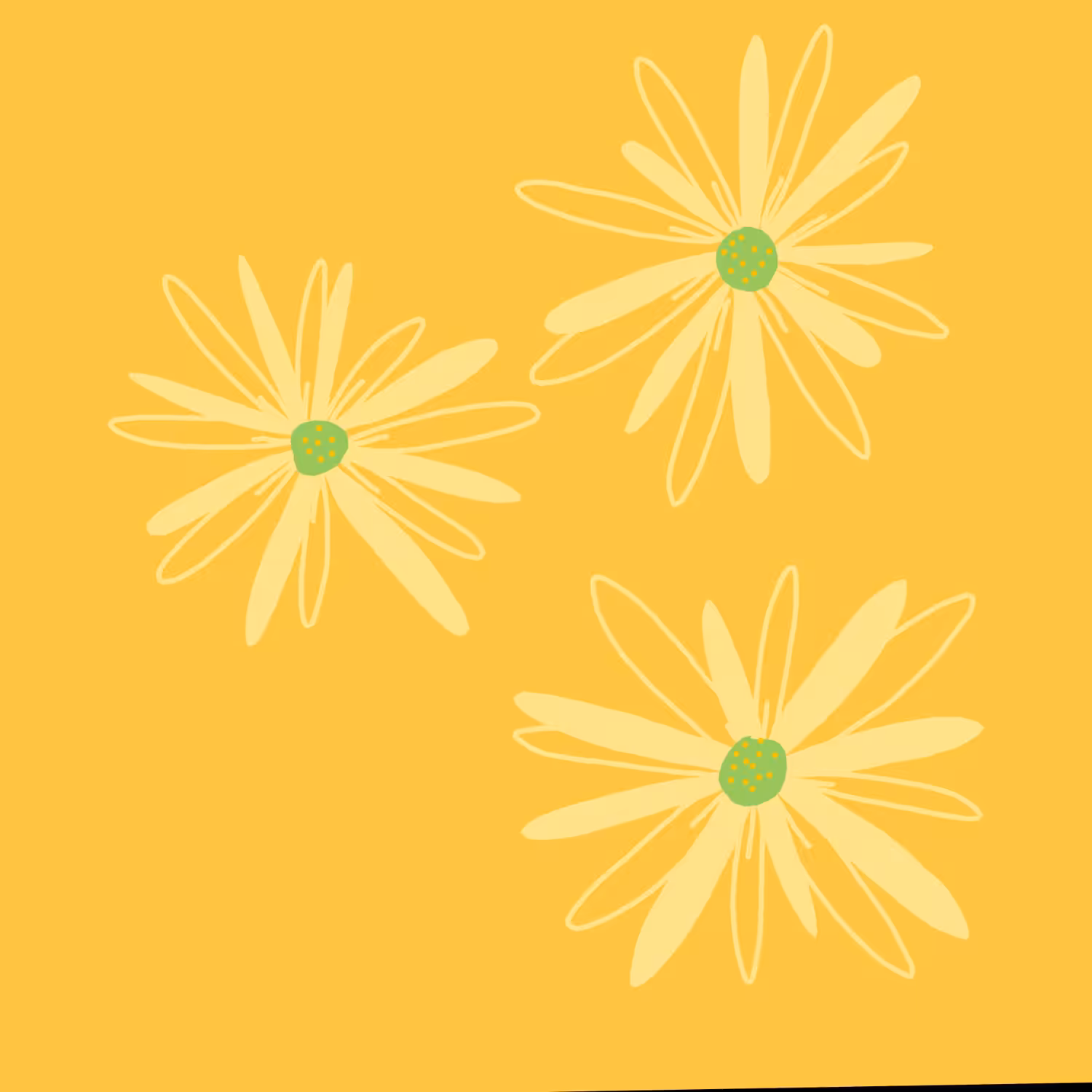 Hidy Daisies