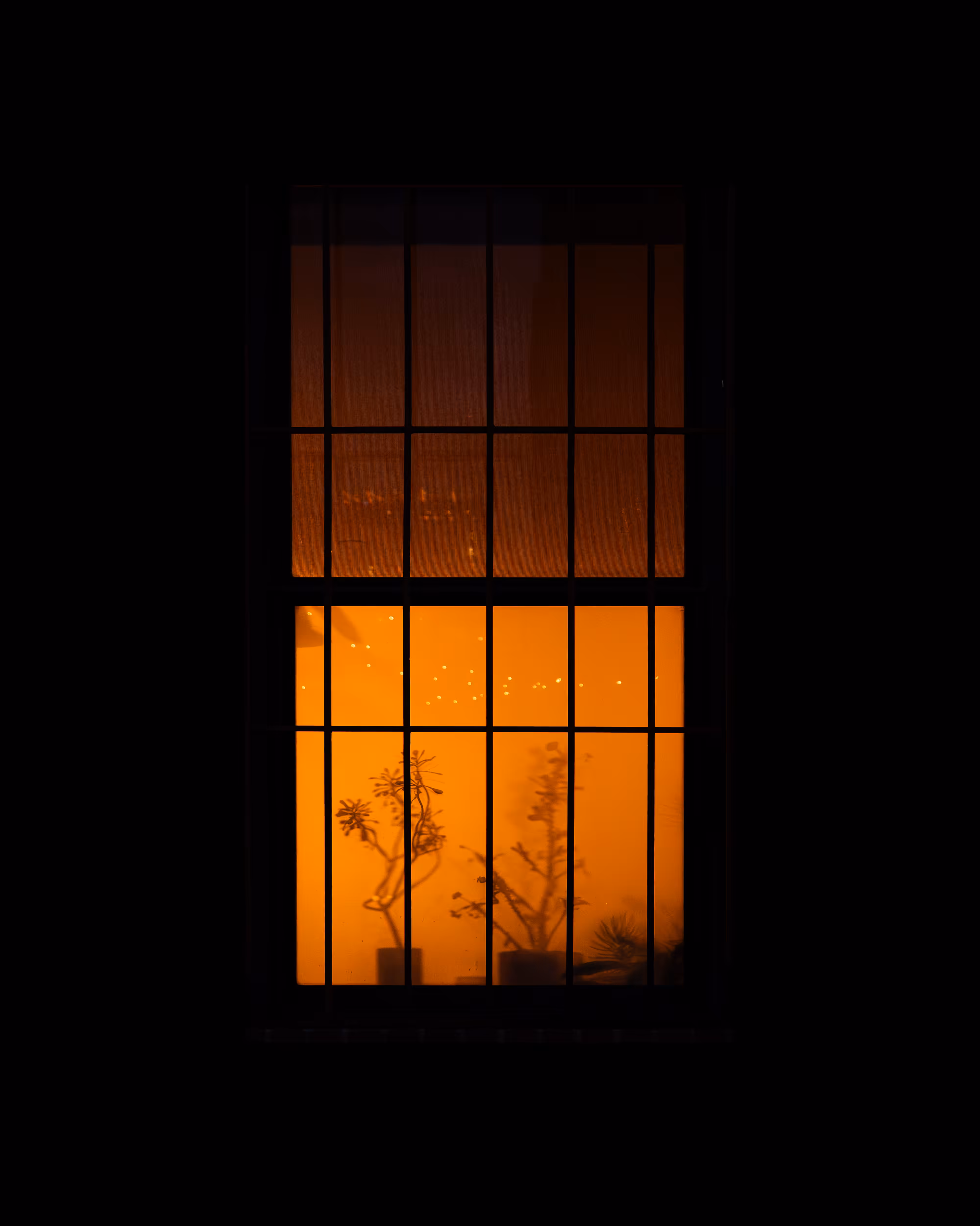 WINDOW 824