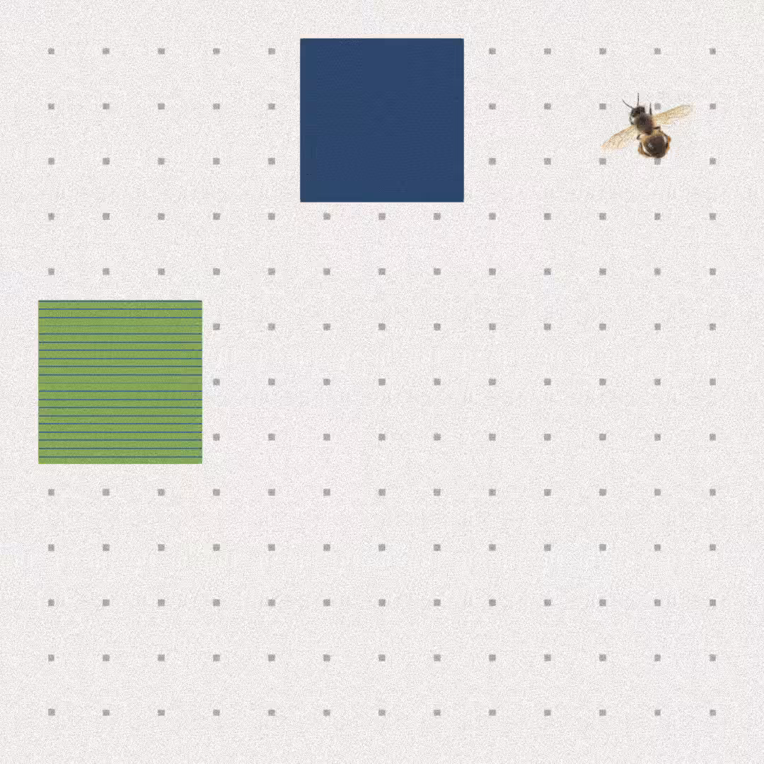 Bee #72