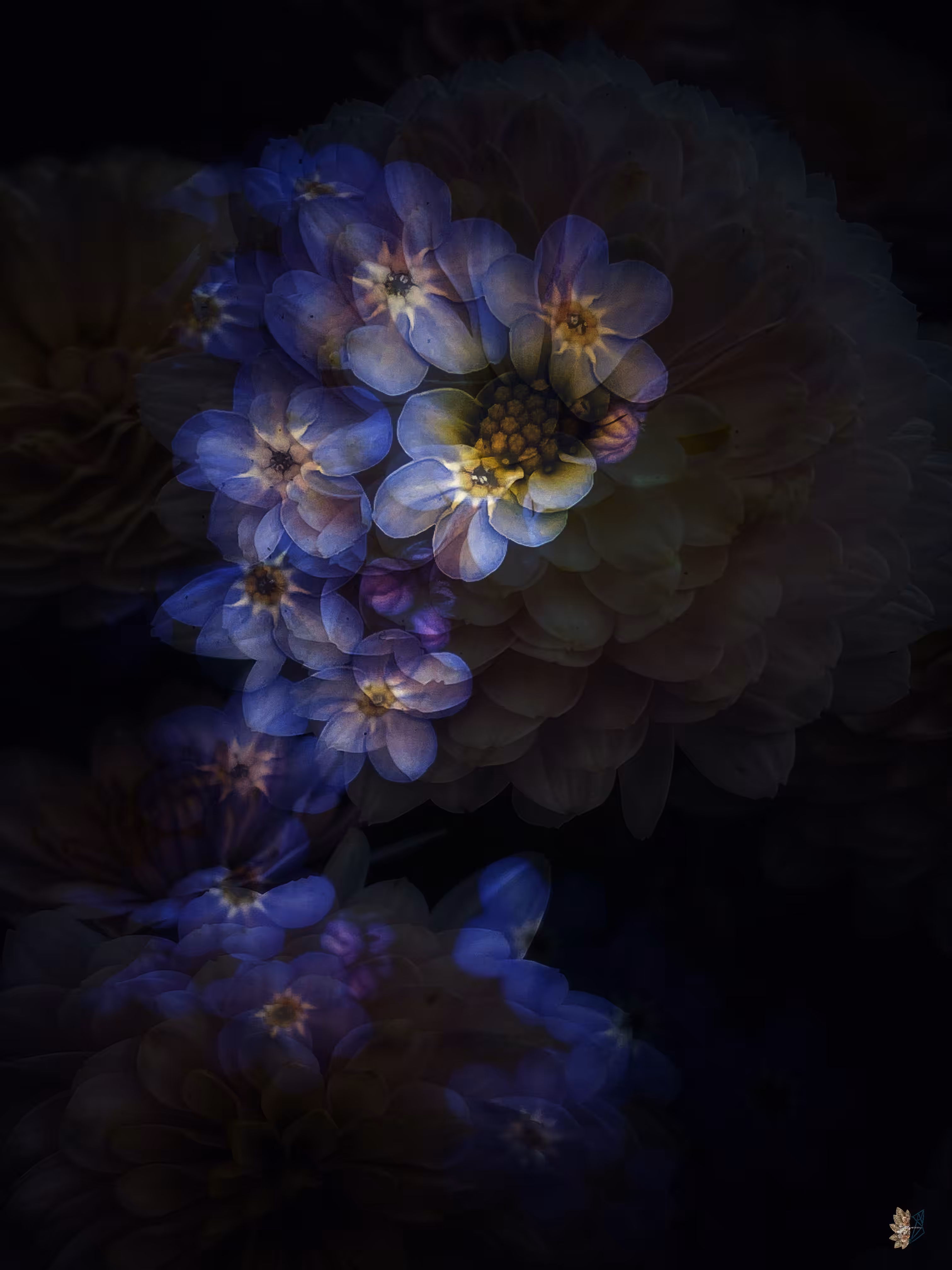 🌸💫Flower Fusion: Dreaming of Blue 💙