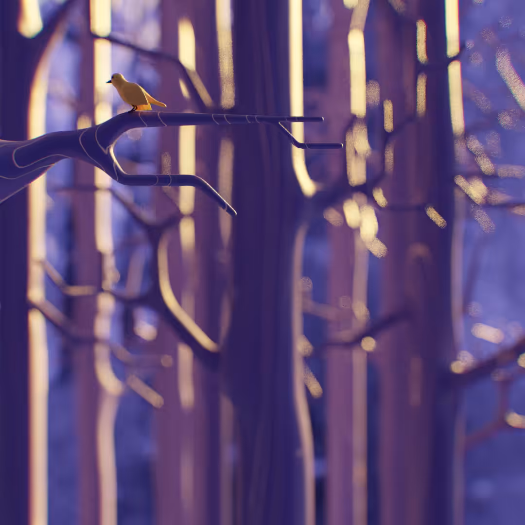 Cute bird