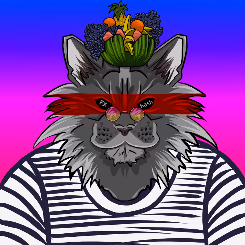 fxCat #14