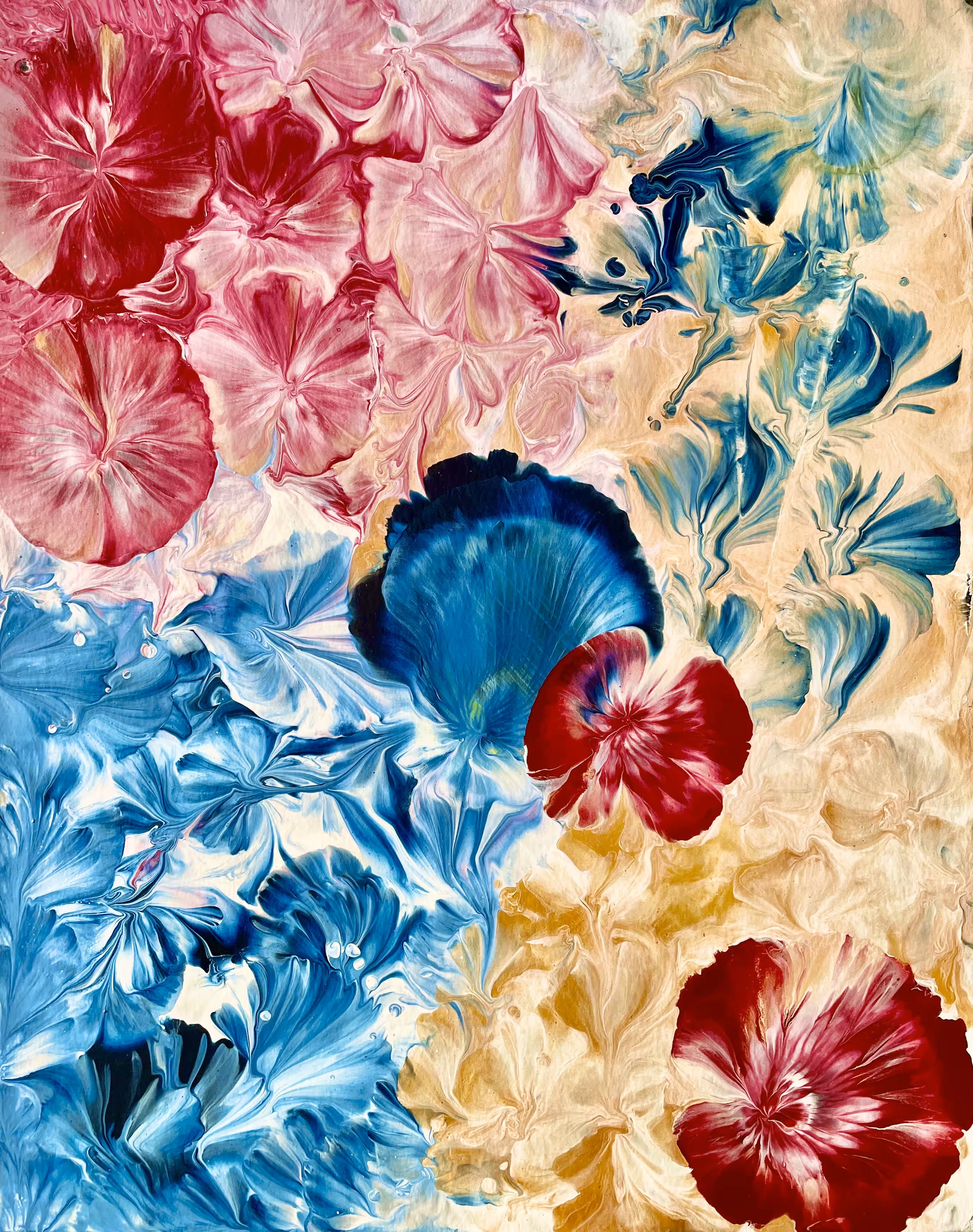 Flowers and Colors