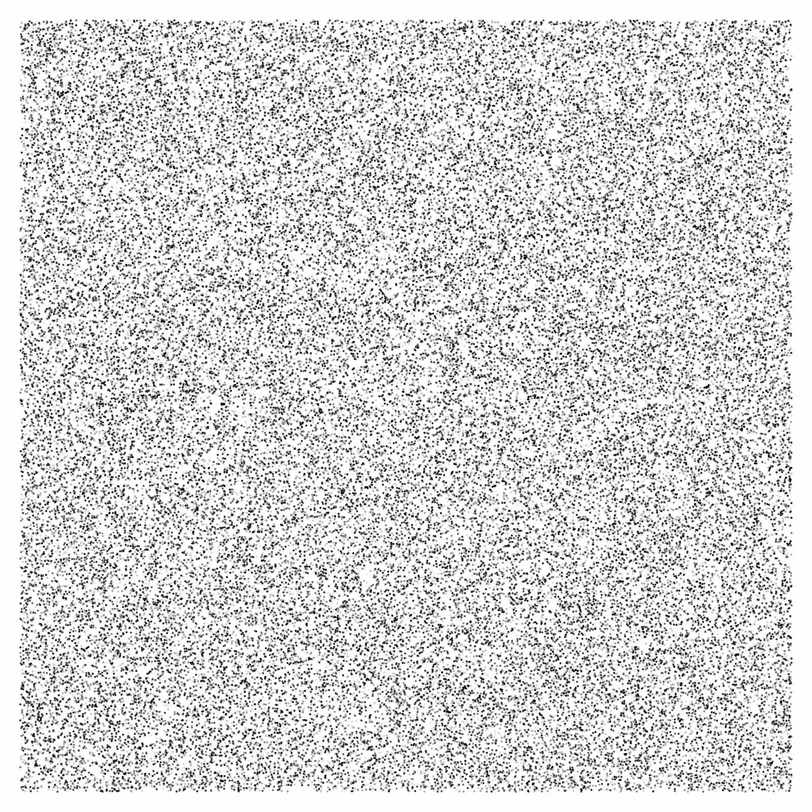 Noise #35