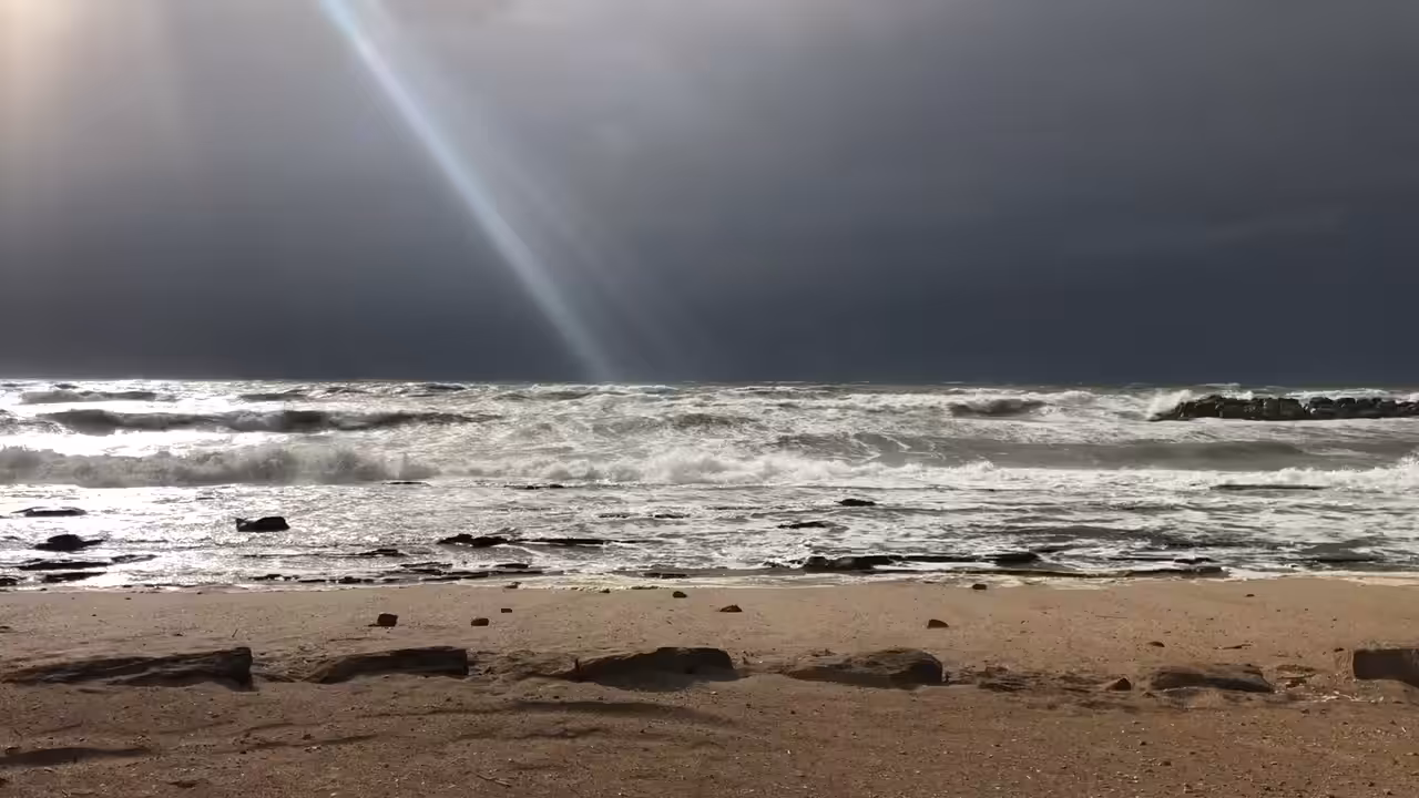 Last Days