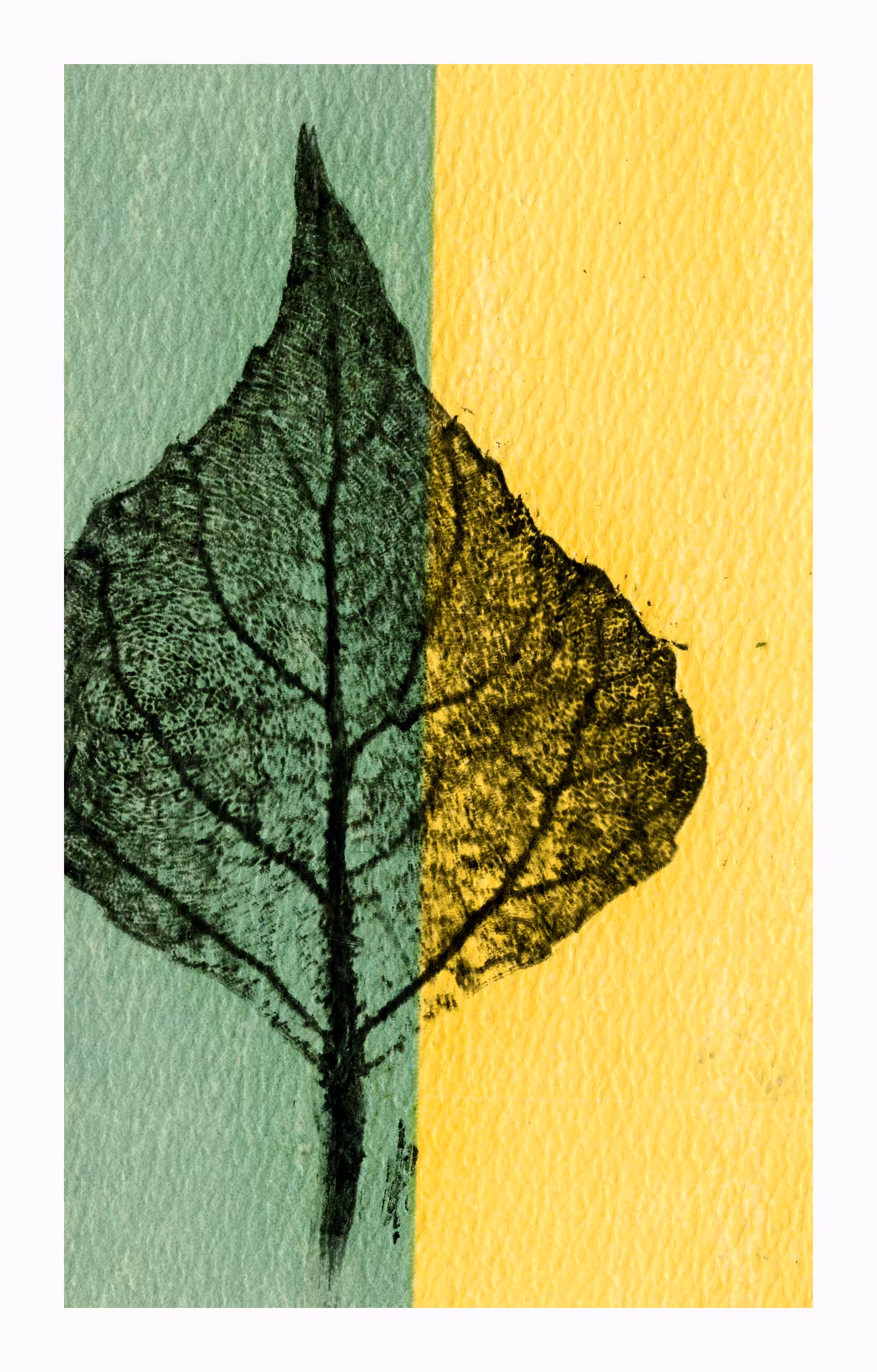 Summer forest leaf 2