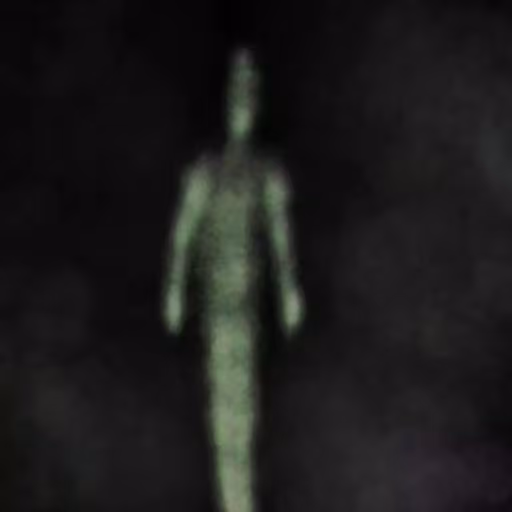 Phantoms: Phantom 208