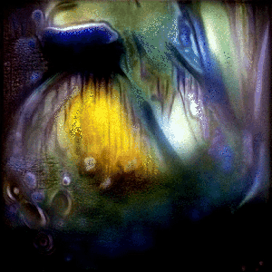 RXALITI #461 [⚿webscr@p∆rn-g✨fractgnash pl@sh in crypt-void🏙]