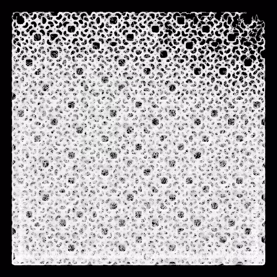 generative cotton V