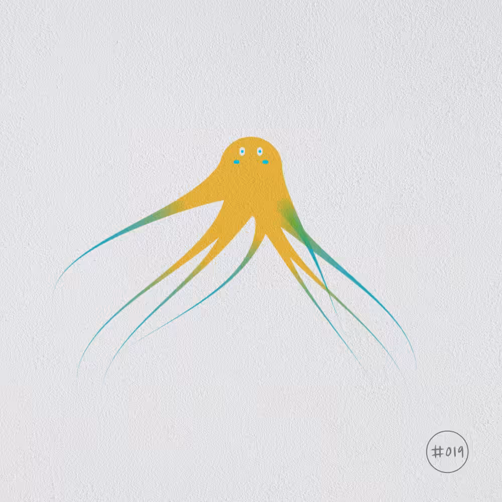 Octy #019