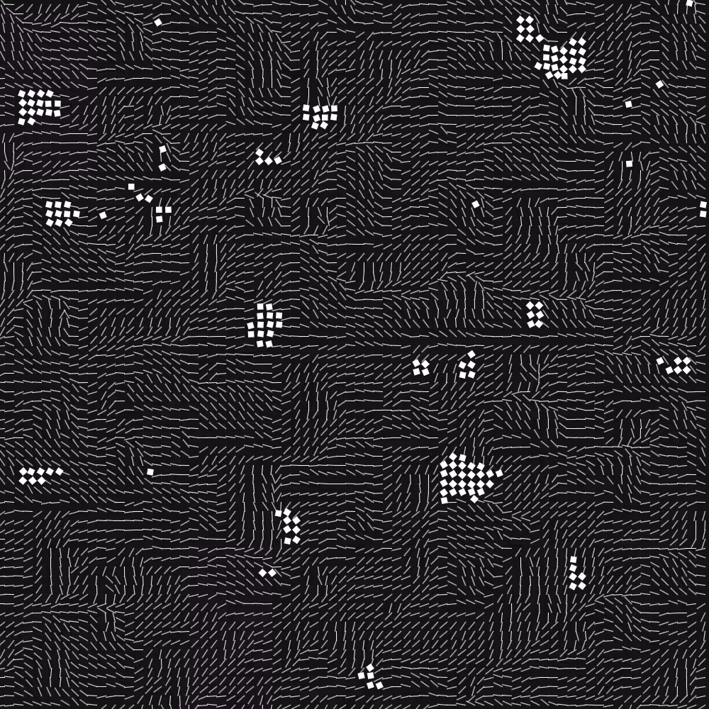Geometric Fluidity #912