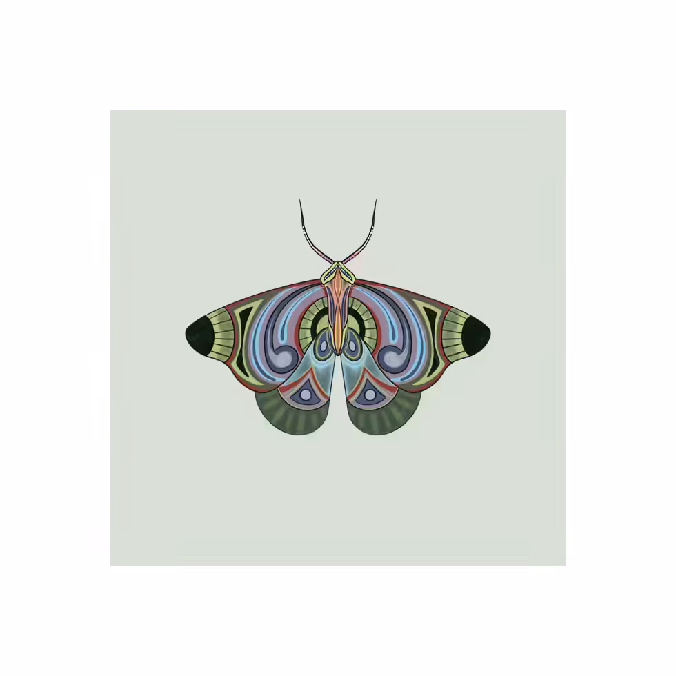 The Moth Experiment  #8