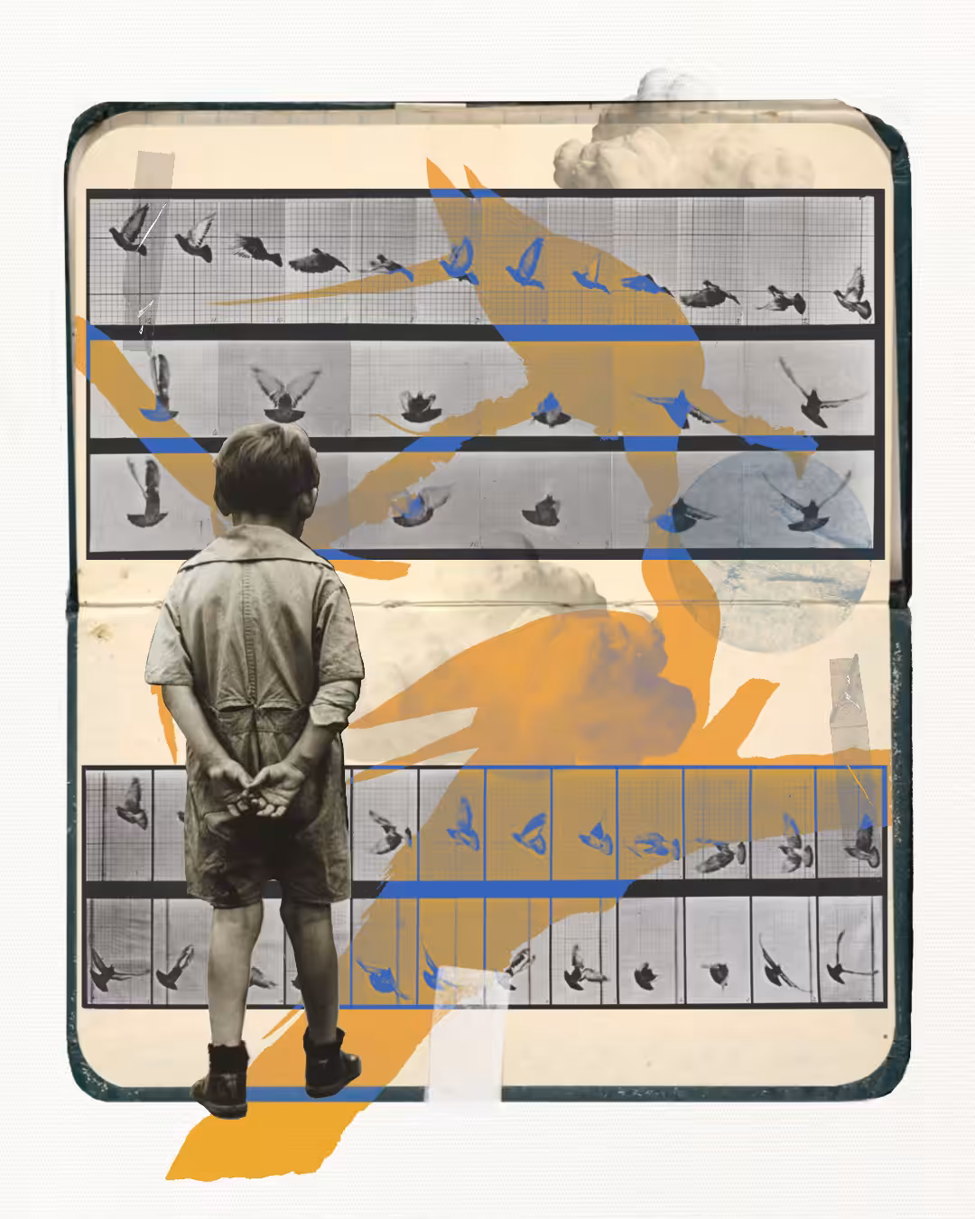 Archive of Flight