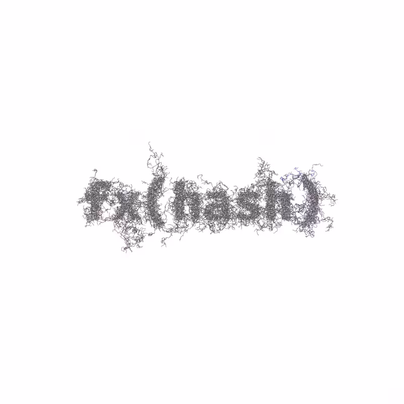 FXHASH Logo with Features #619