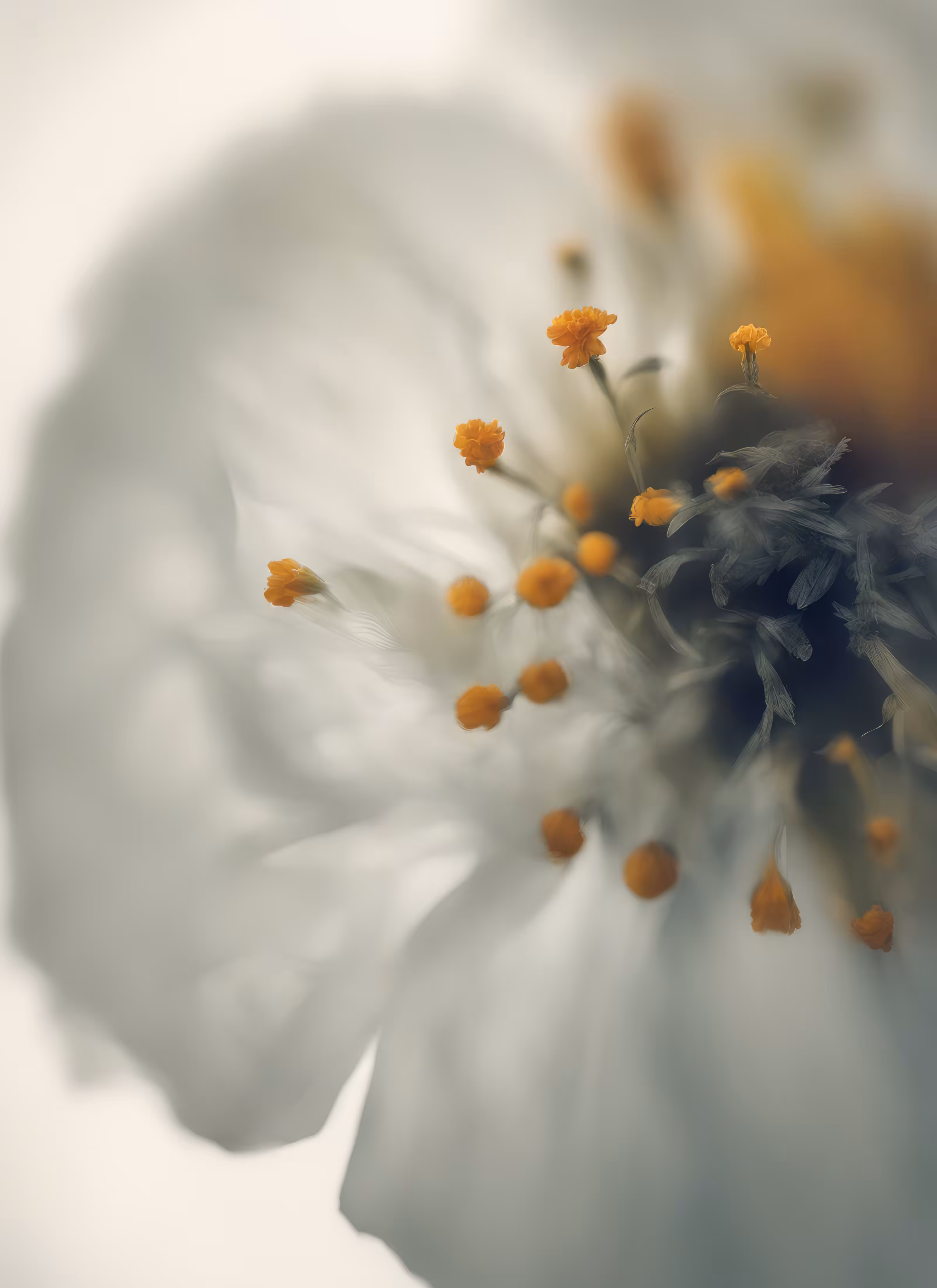 Blur Fleurs :: Merge #5