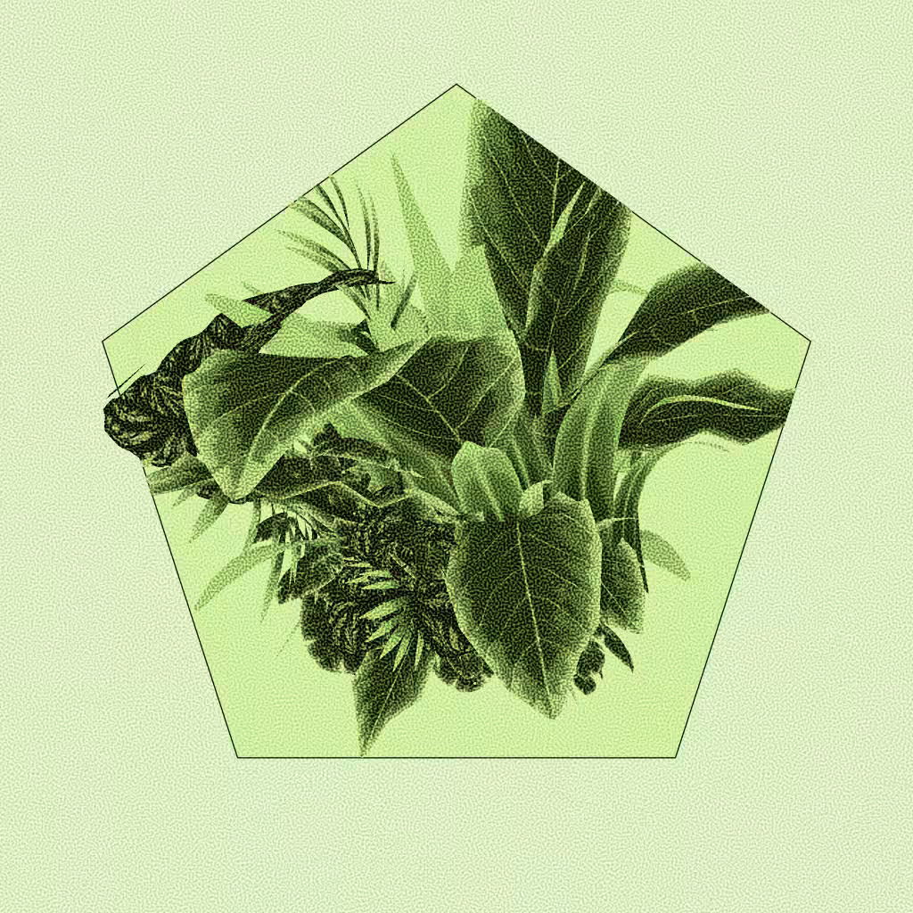 Botany #57