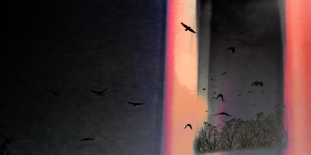 an open window
