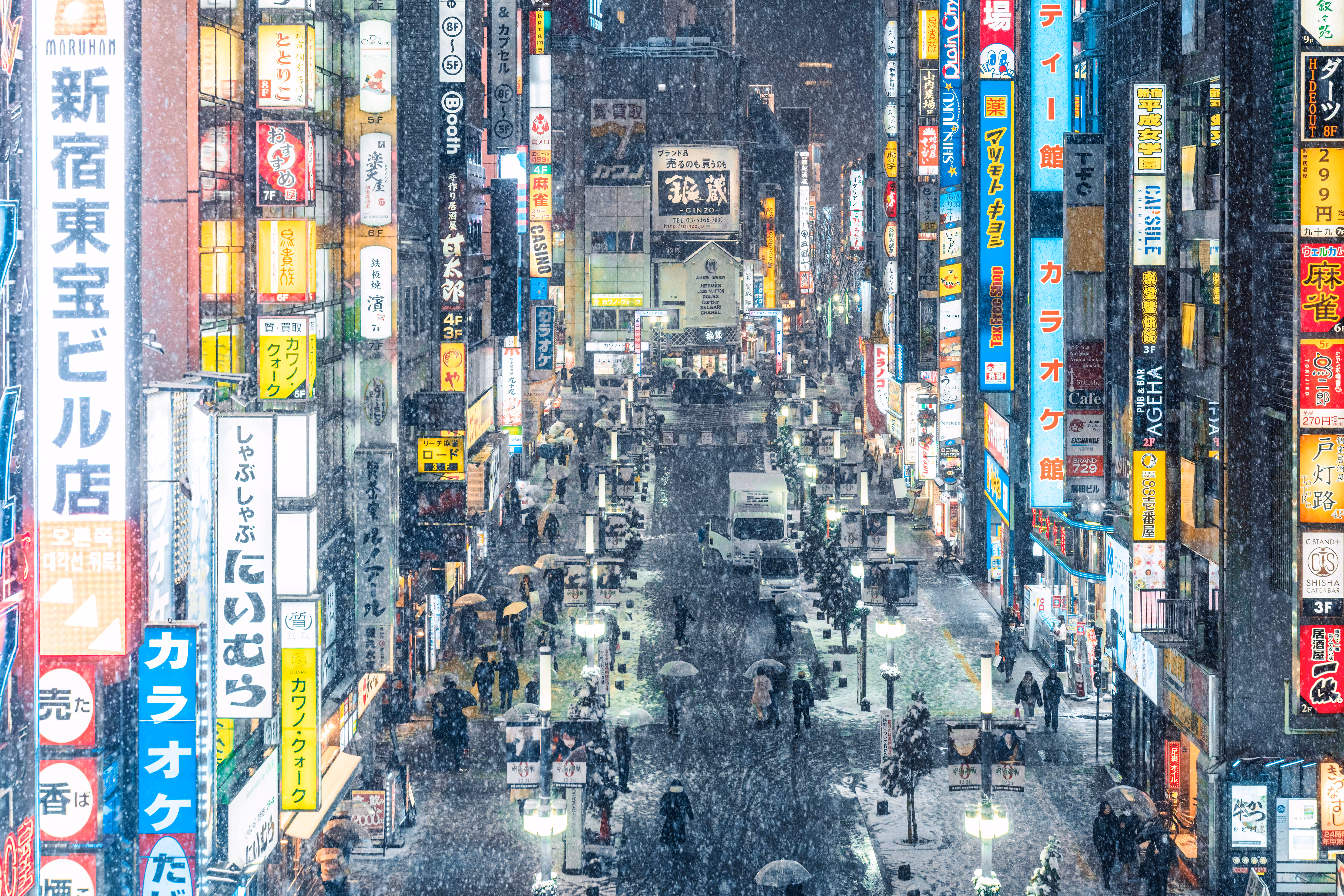 Tokyo Snow Harmony