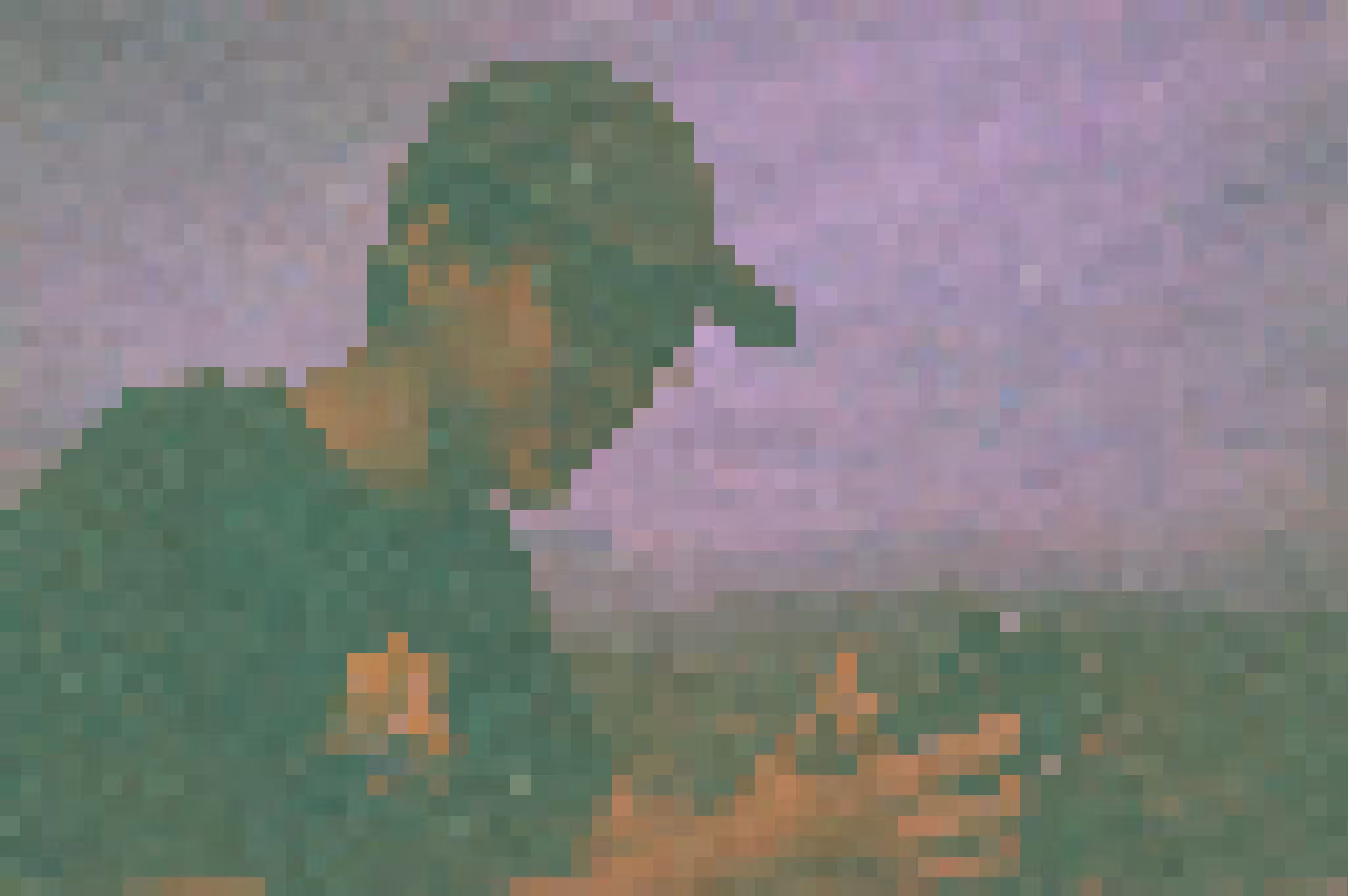 PDLG-2