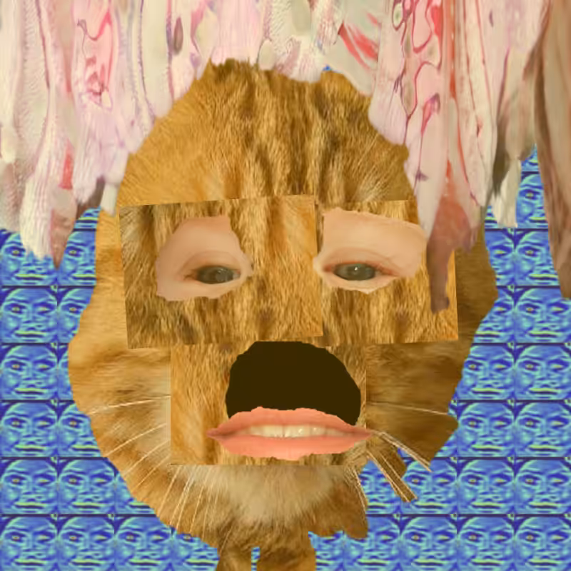 A collage of collages #464