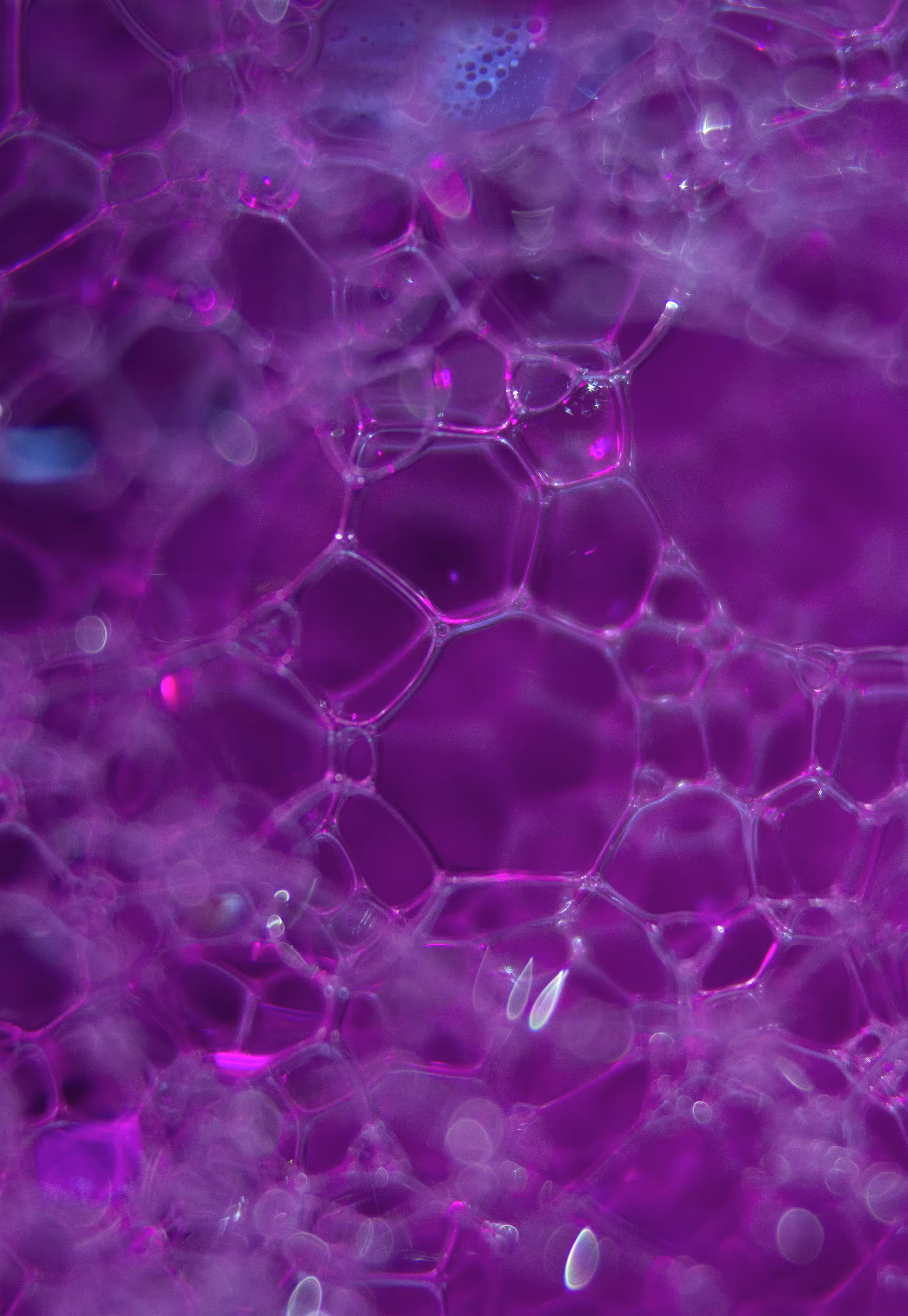 Abstract World of Soap Bubbles: #182 Bubbles
