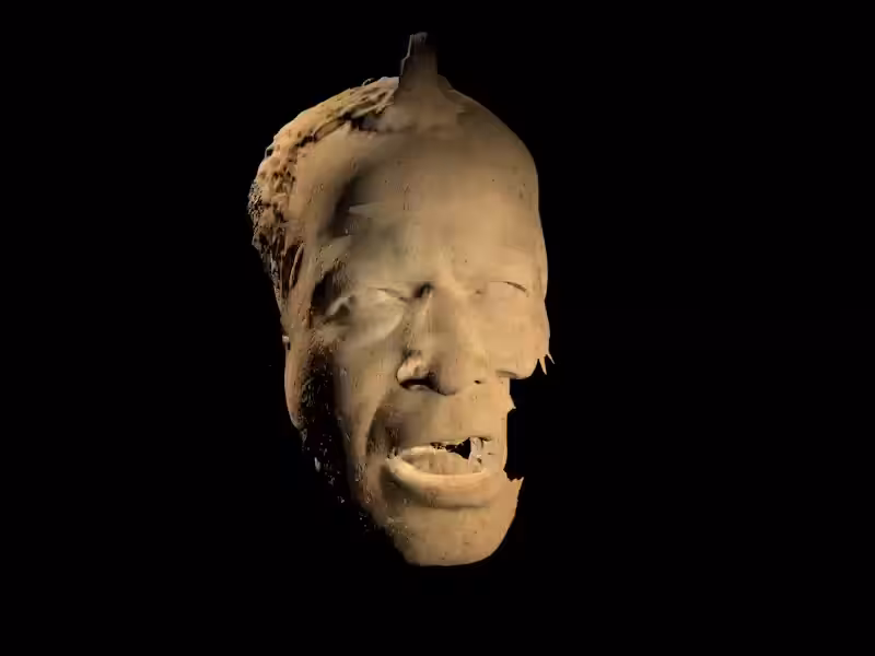 Self-portrait as a set of old dinosaur bones