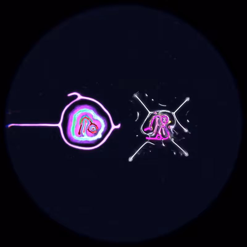 Ethereal Microcosm #256