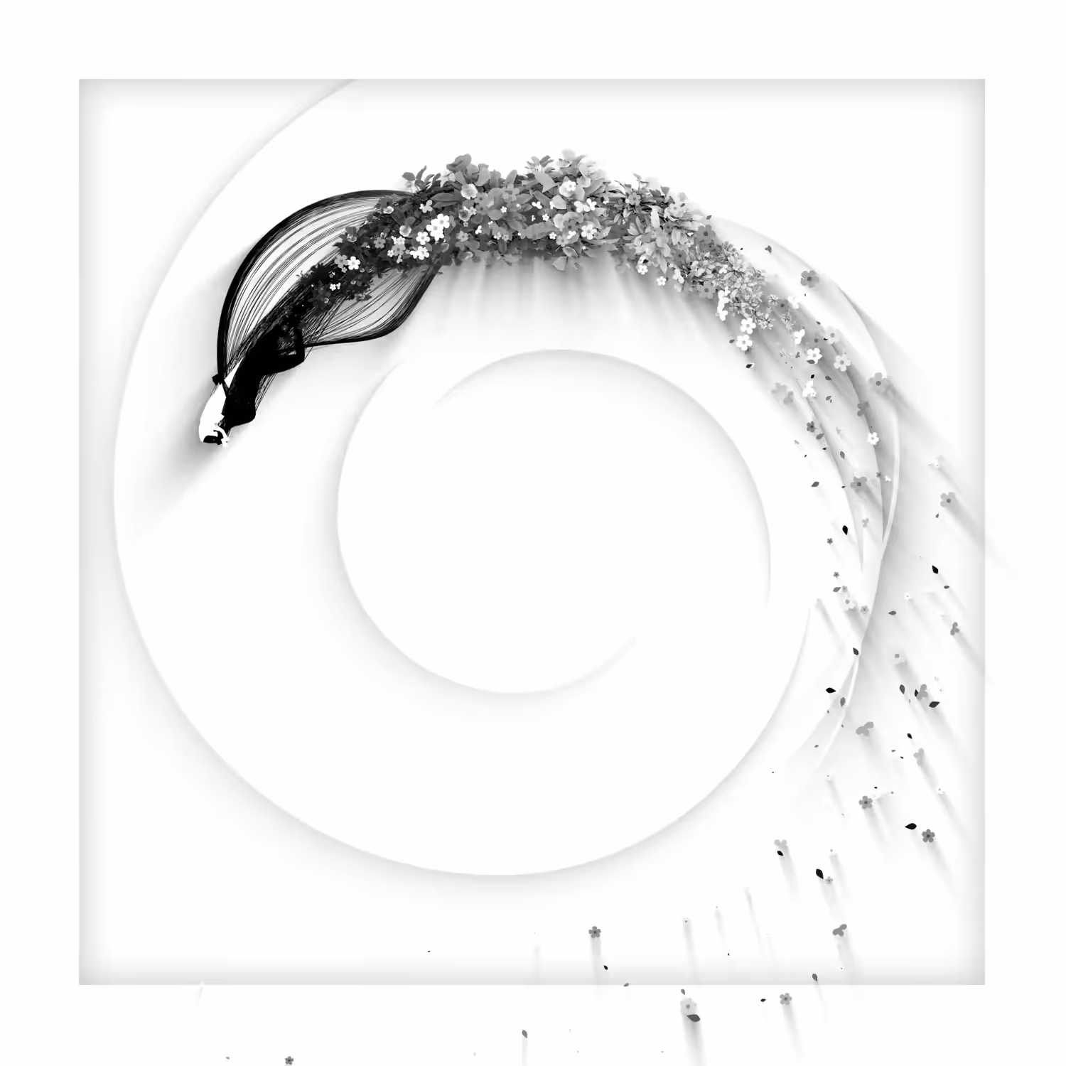 White Canvas