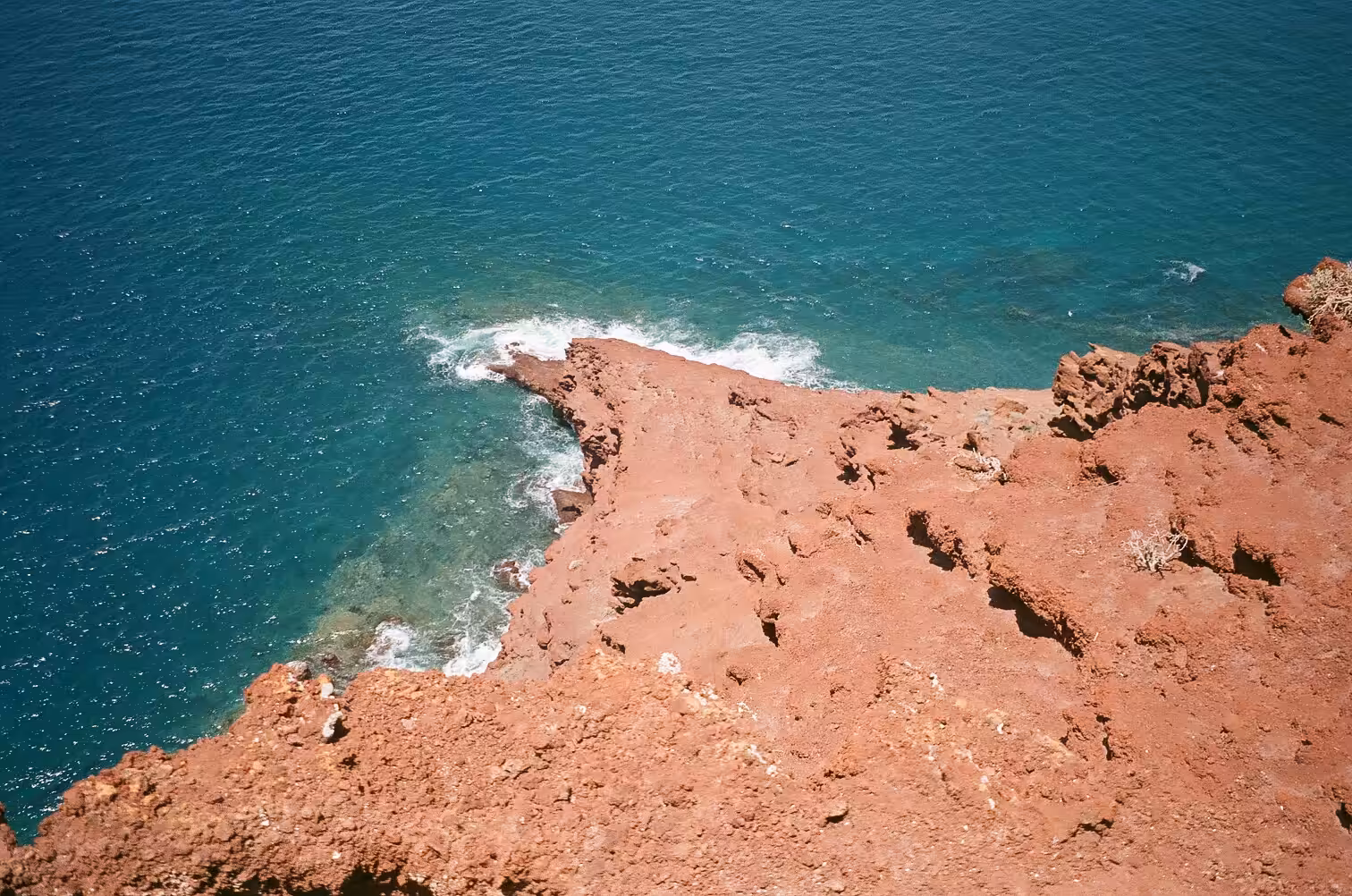 estate canaria