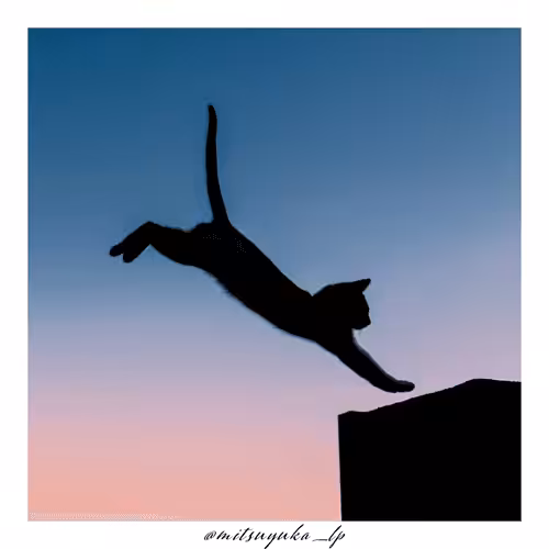 cat silhouette #001