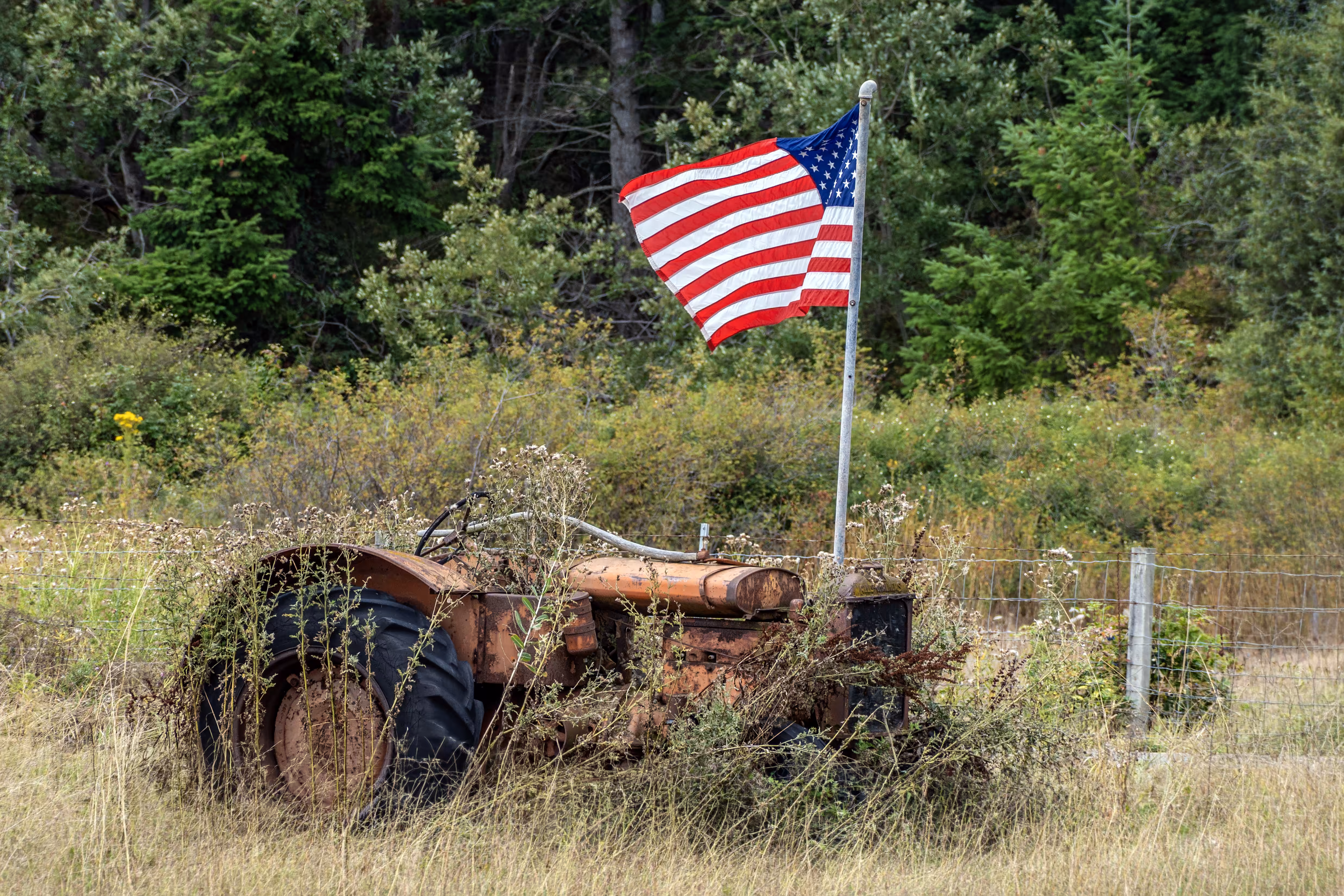 The Flag and the Tractor