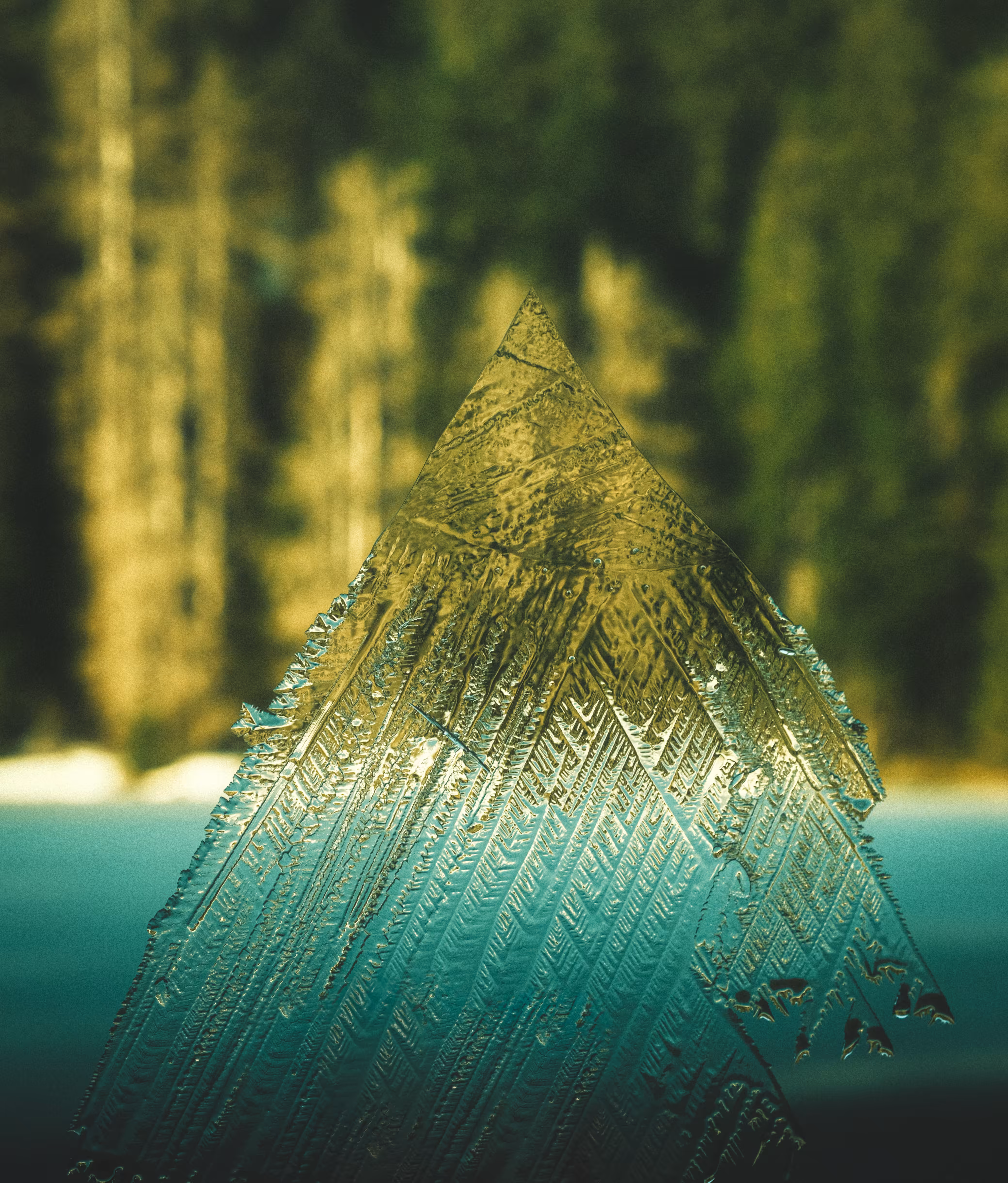 Iceberg in the forest