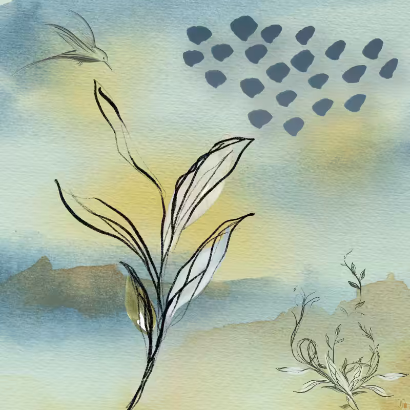 Remember Nature #3