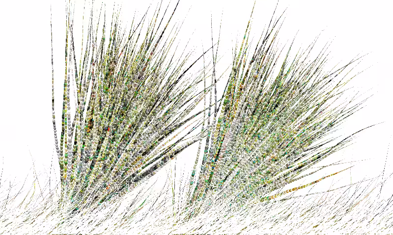 Sketches:Pairs of Tails:Majestic Creatures #11