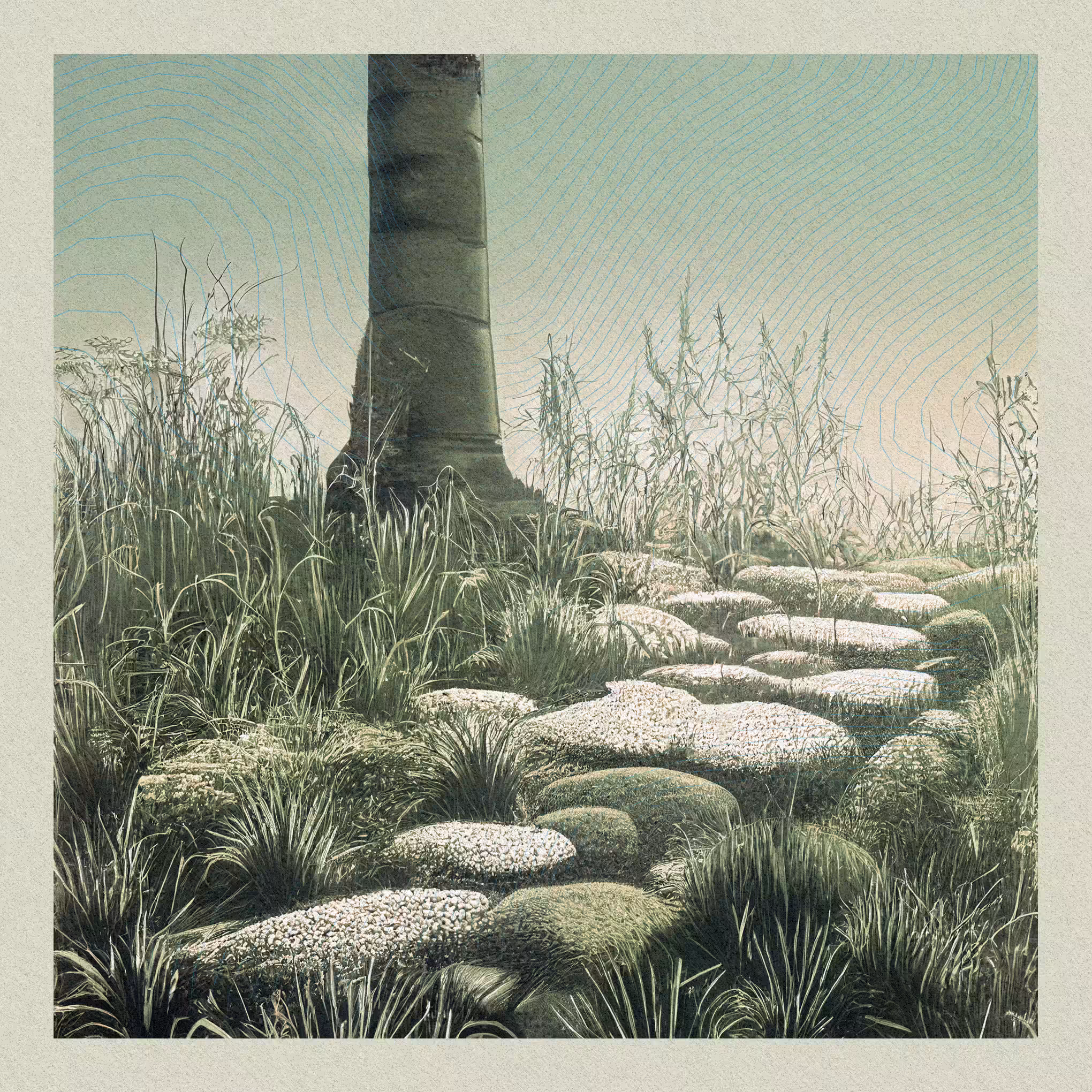 Harmony #85