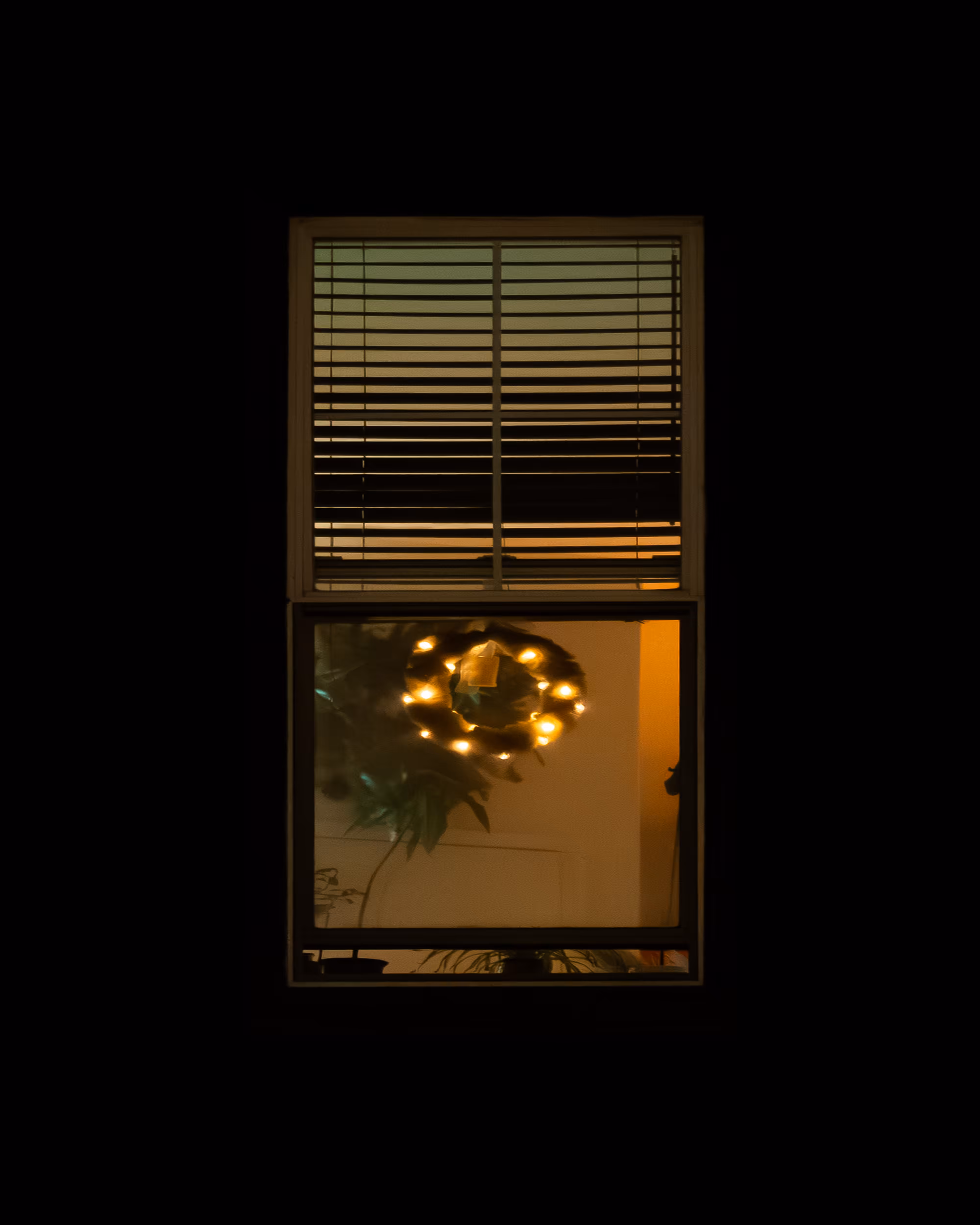WINDOWS // NYC: WINDOW 81
