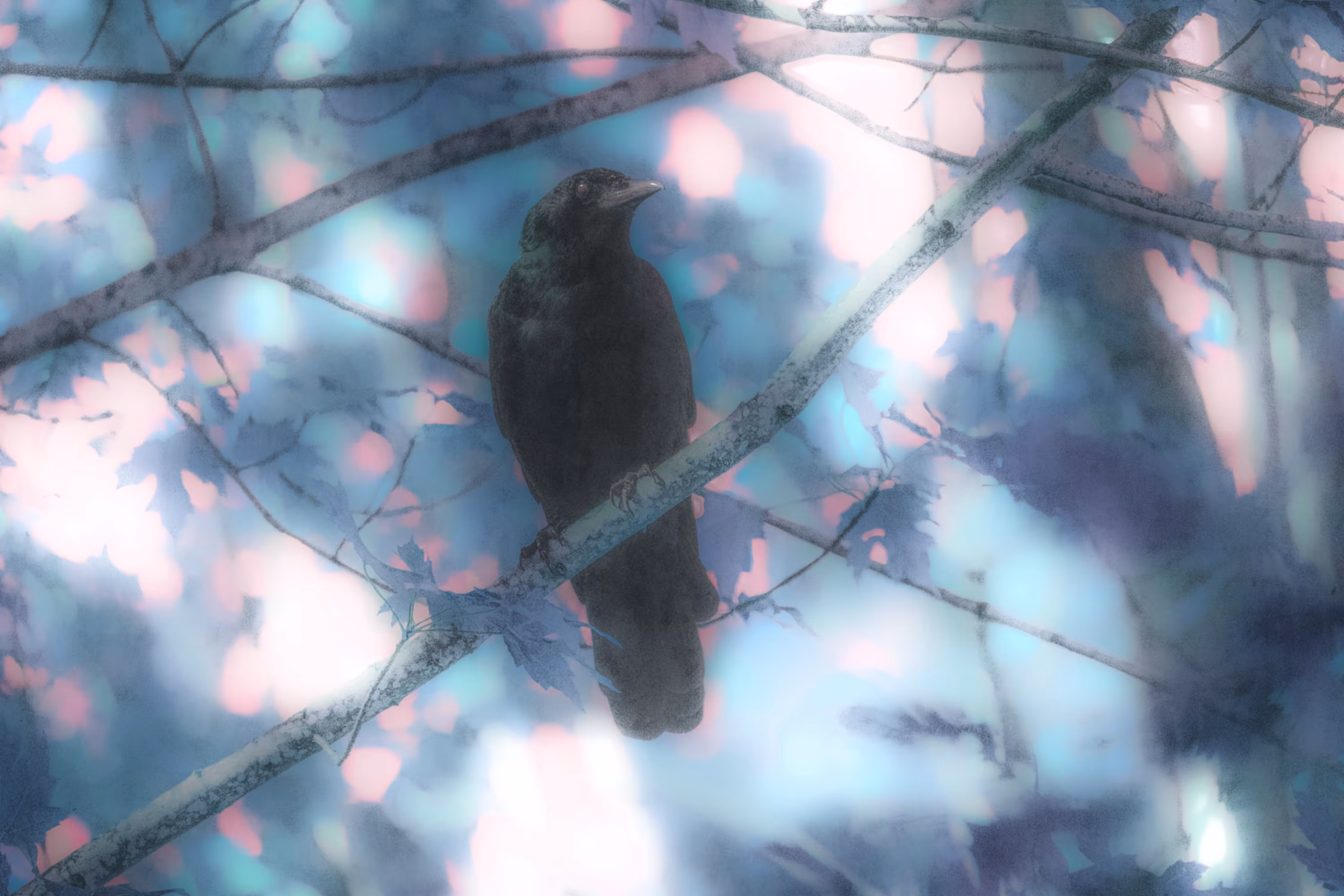The Watcher