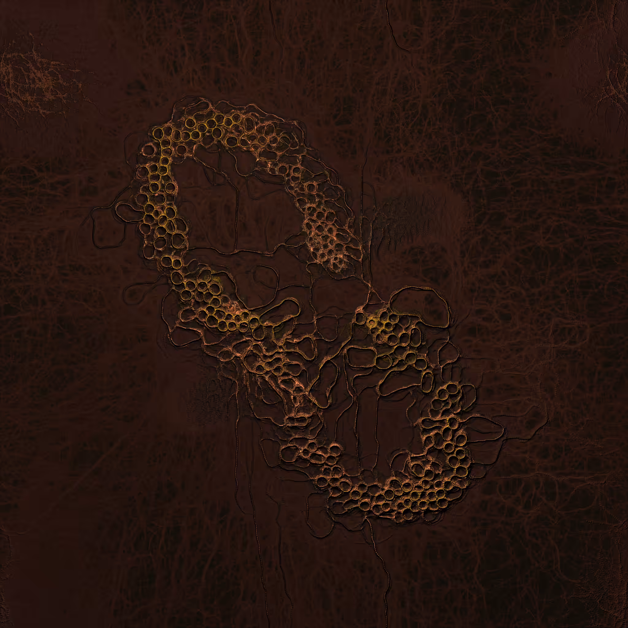 coalescence #125