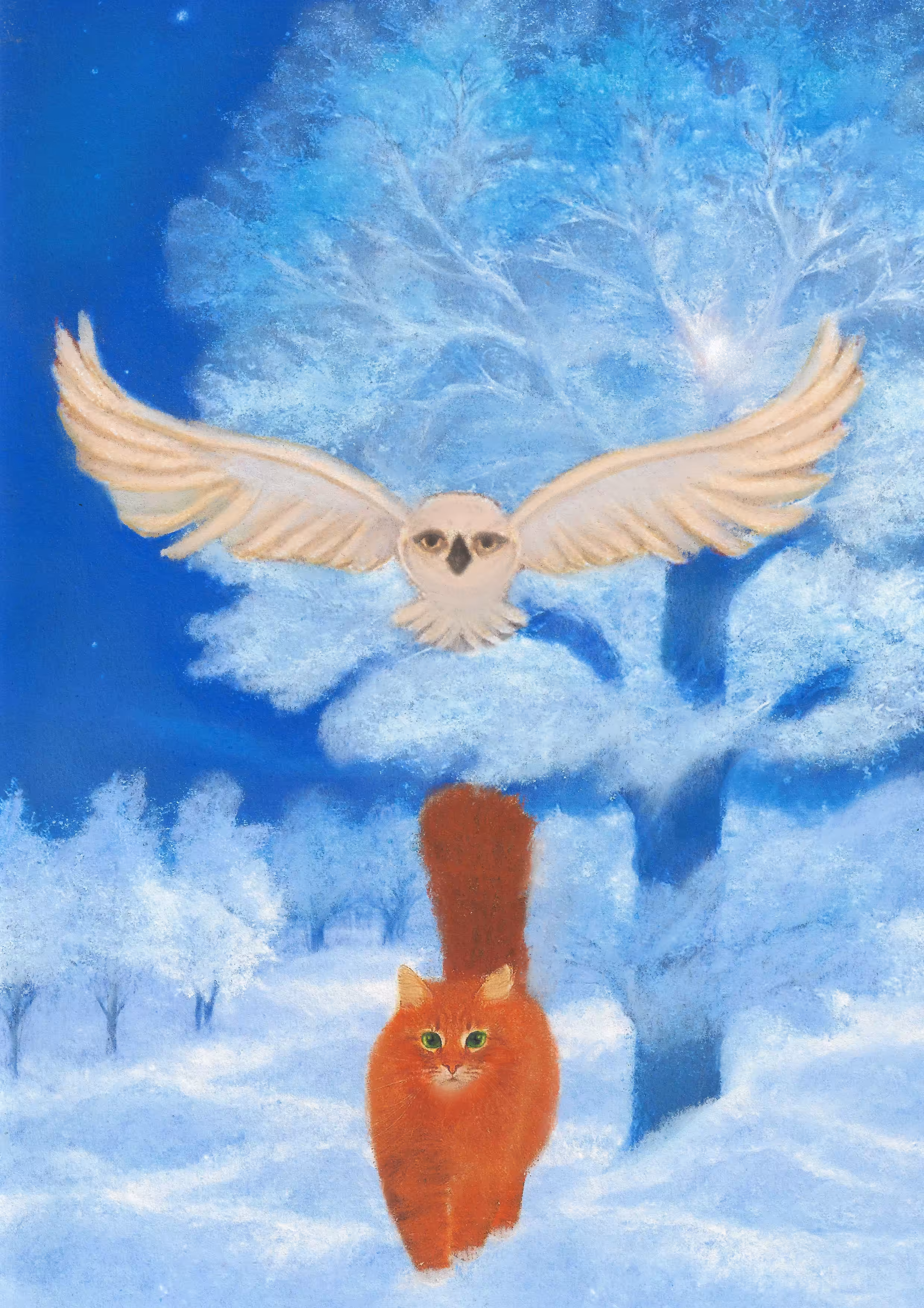 Winter forest 