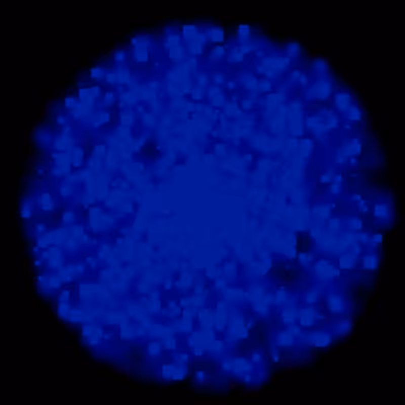 Petri Dish #6