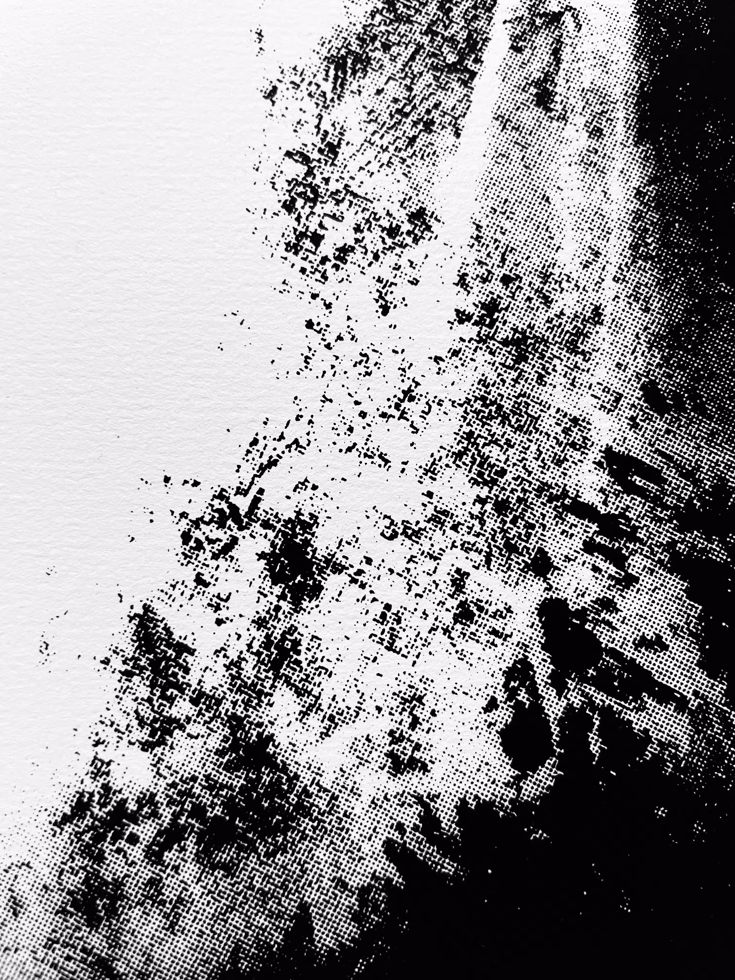 scrnprnt_dtl_010